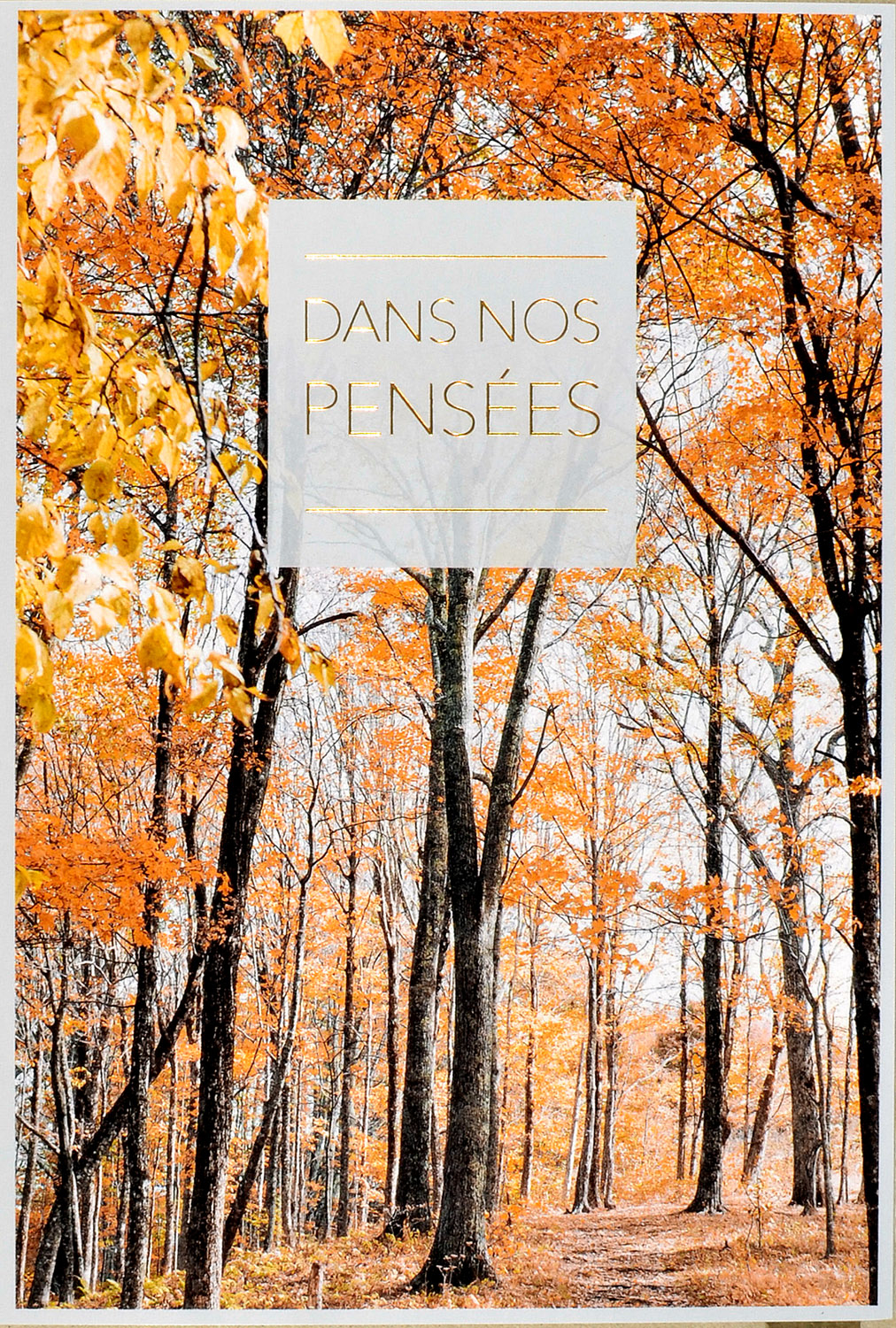 ABC Carte de deuil français 43894 Forêt d'automne color