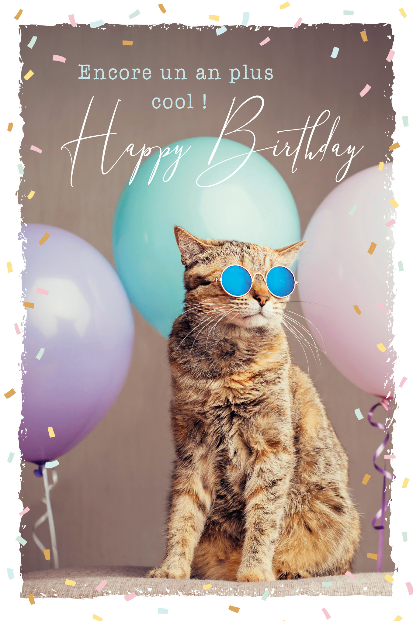 photo de l'article 732482