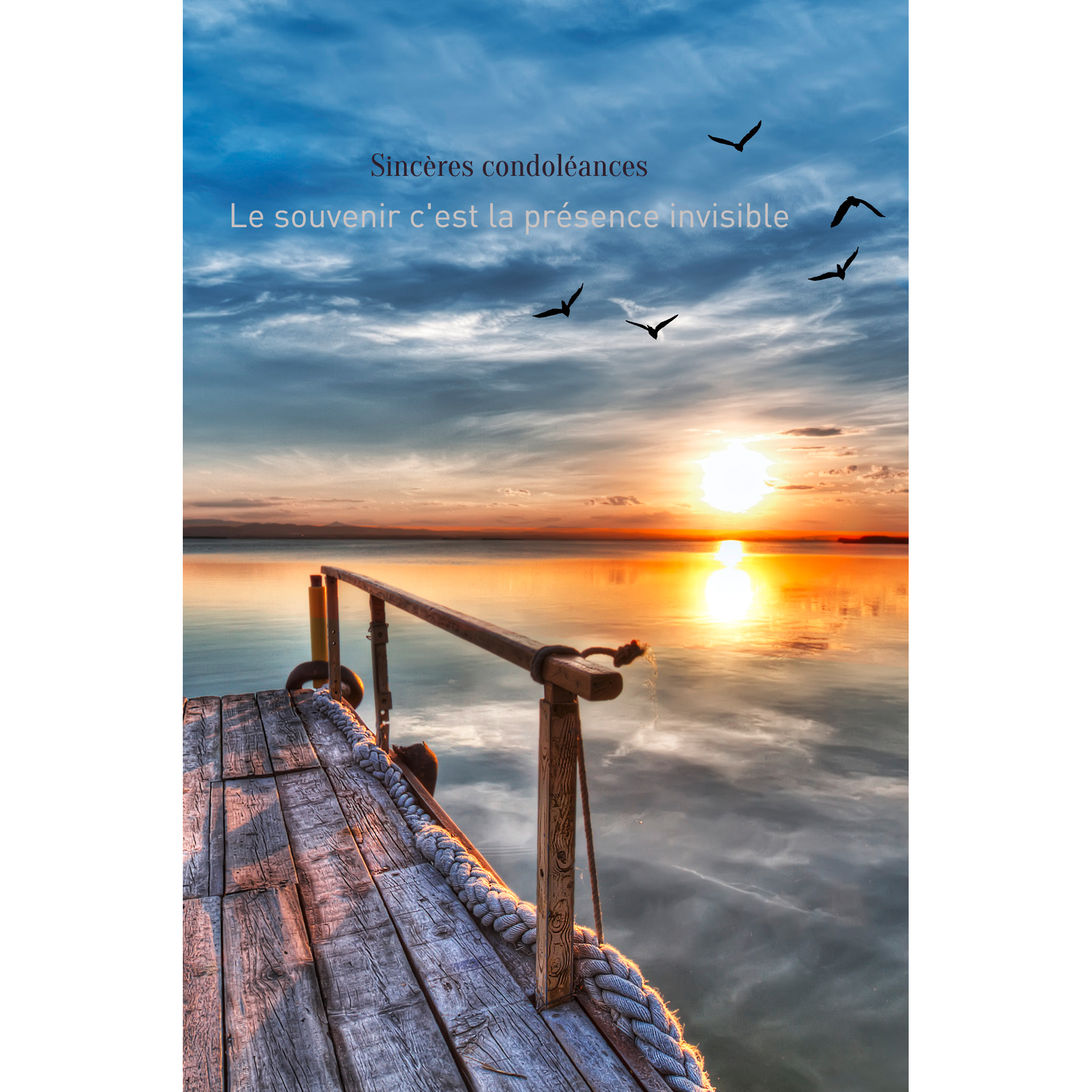 photo ABC Carte condoléances FR B6 53140 Passerelle