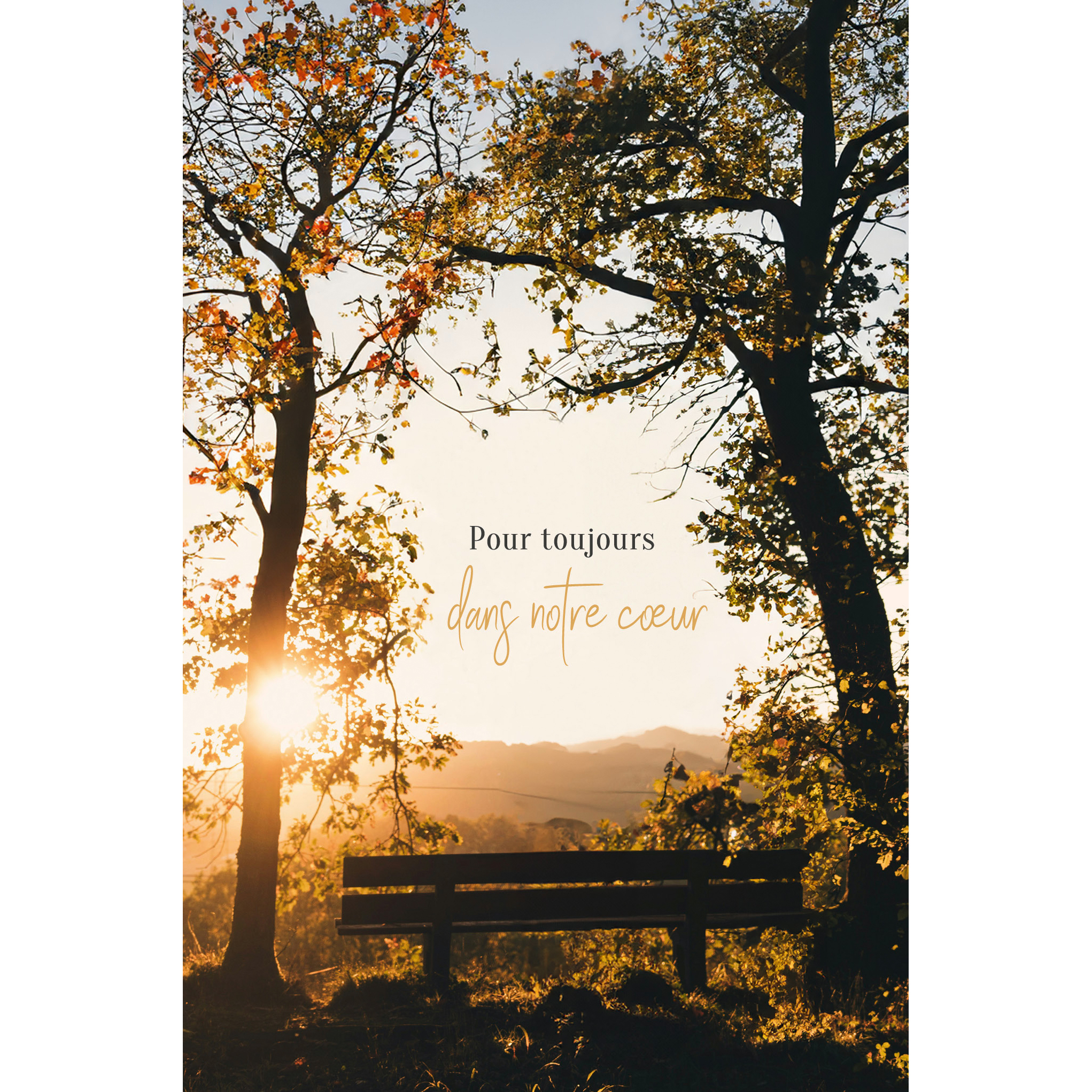 photo ABC Carte condoléances FR B6 53141 Arbre