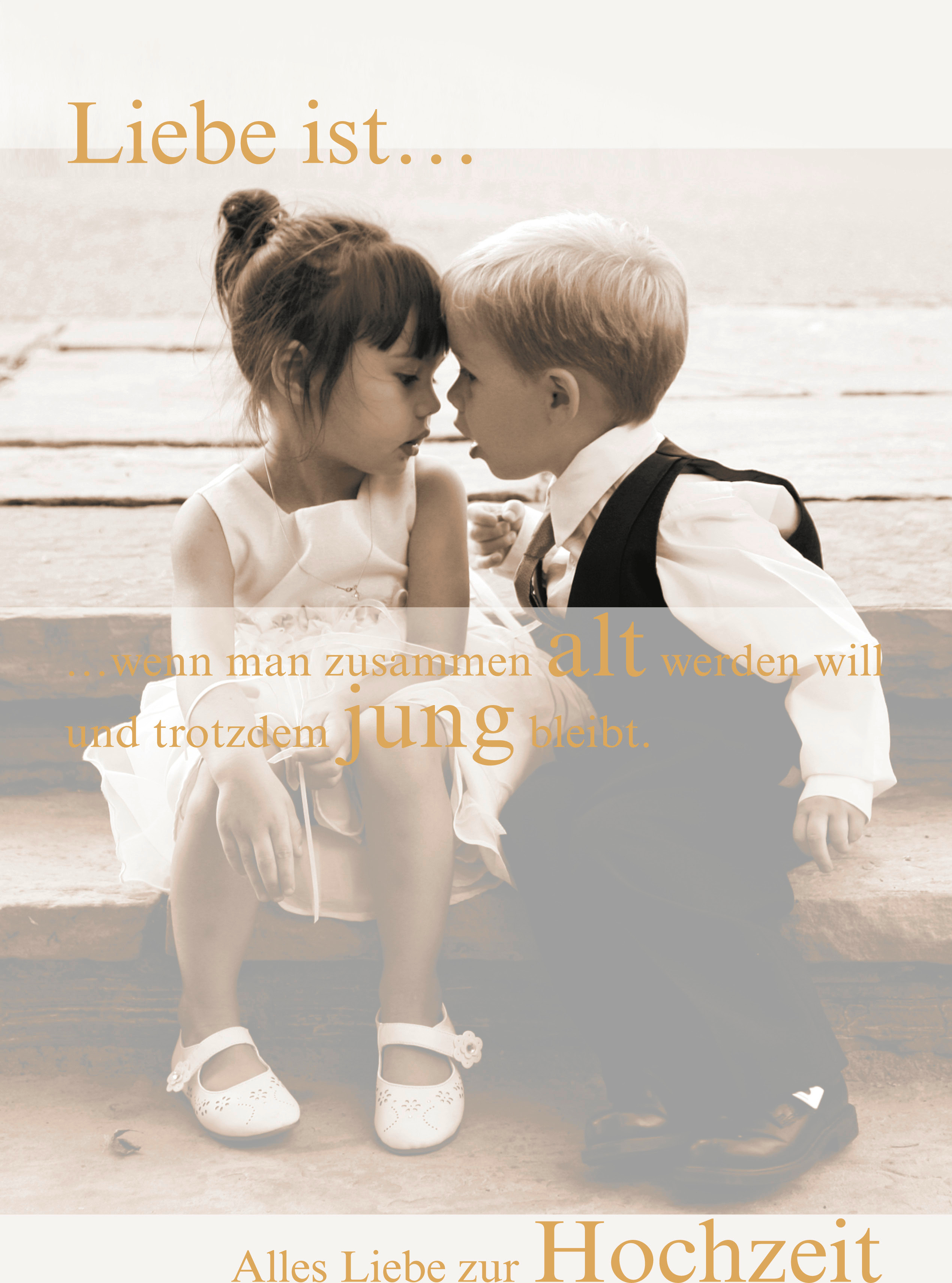 photo de l'article 732060