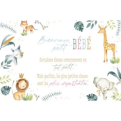 photo ABC Carte de voeux Baby FR B6 8442 Animaux