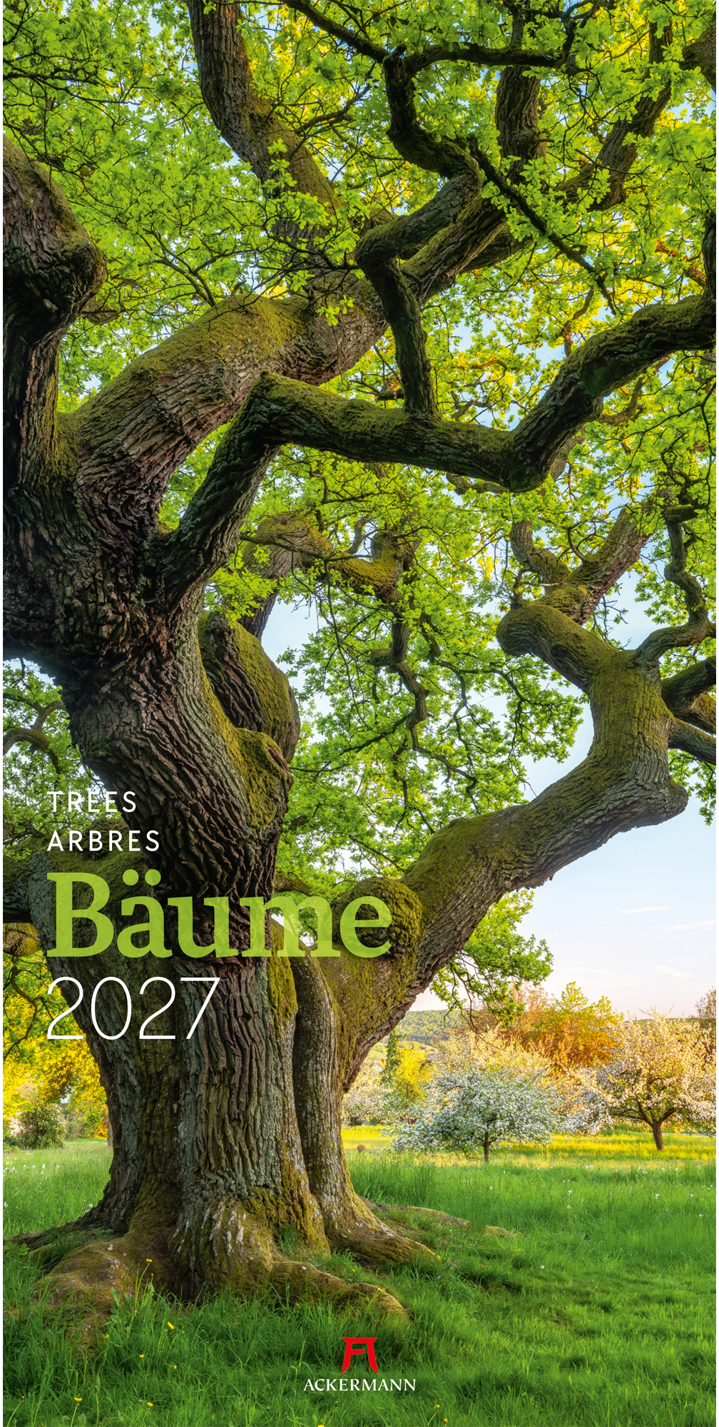 photo de l'article 440800