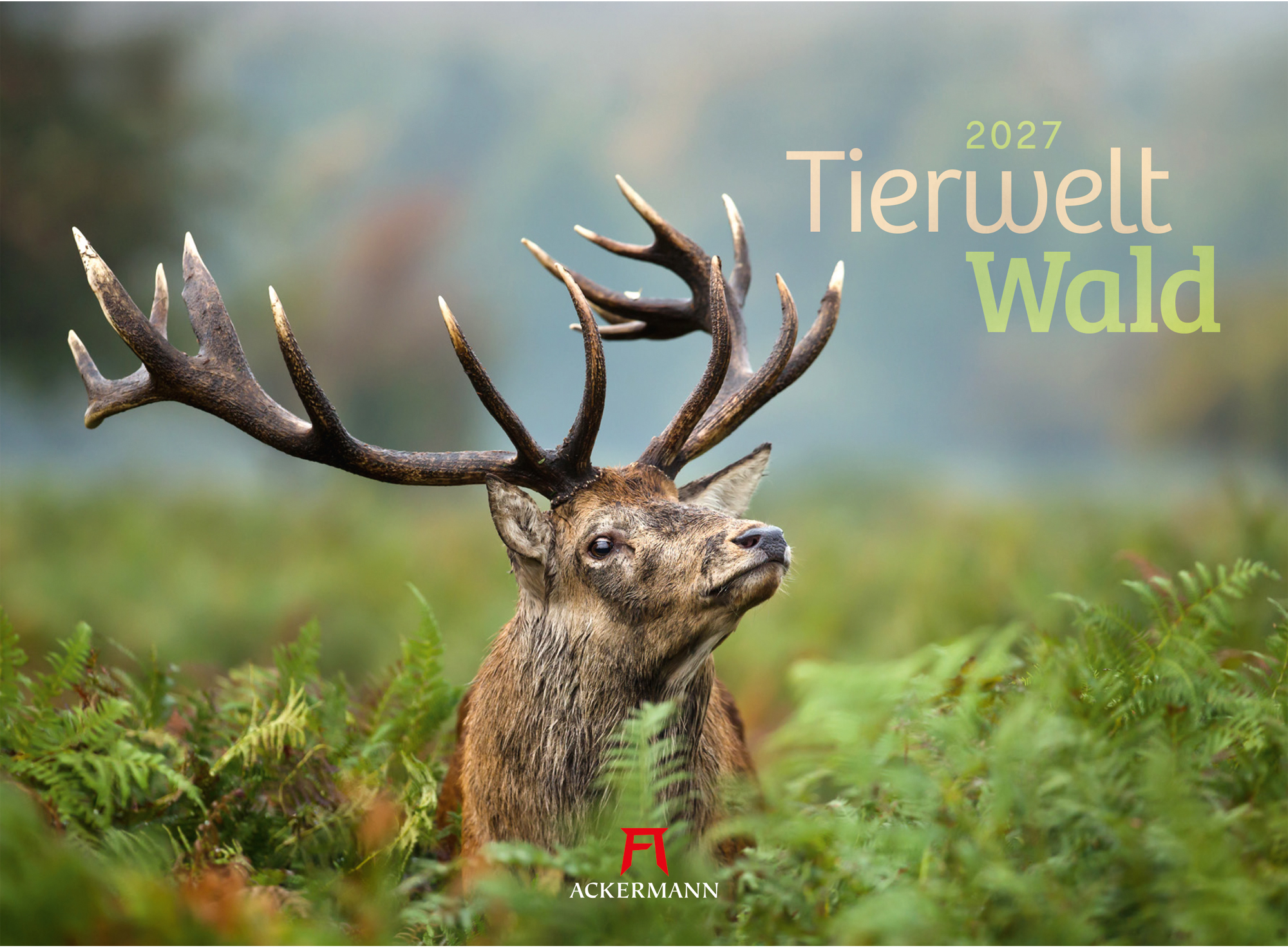 photo ACKERMANN Calendrier 2027 2782 Tierwelt Wald D 45x33cm