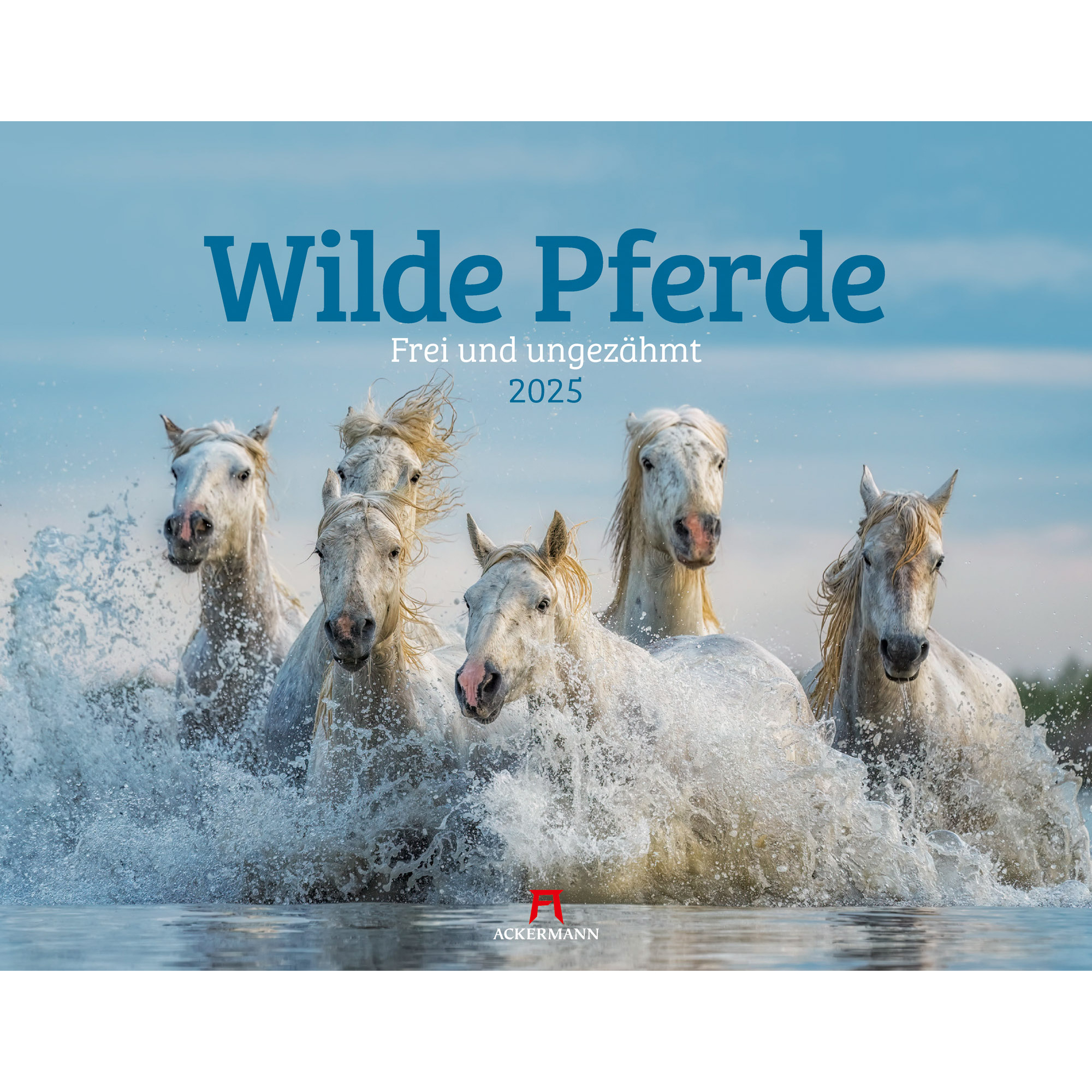 ACKERMANN Calendrier 2025 3508 Wilde Pferde DE/E 54x42cm