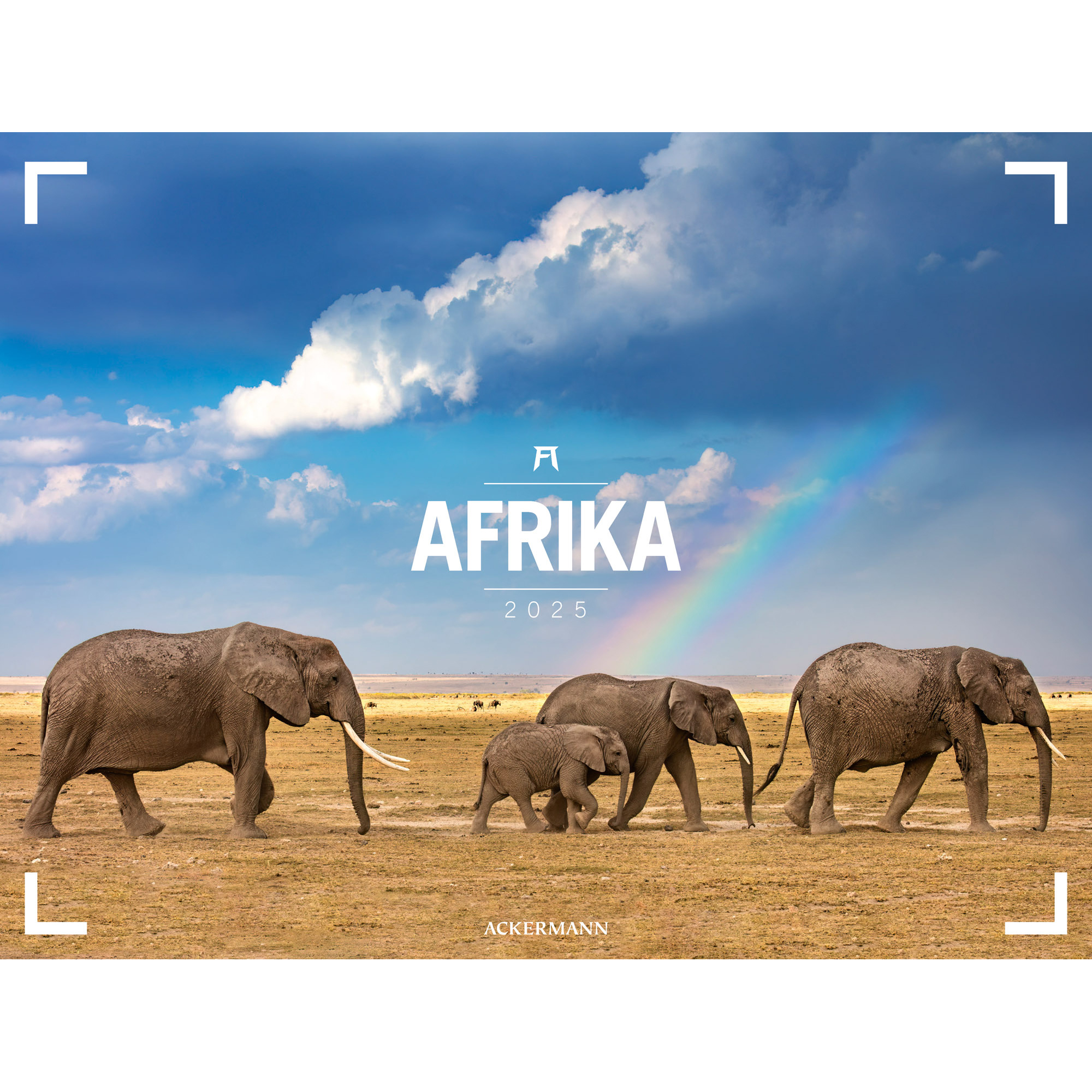 ACKERMANN Calendrier 2025 3513 Afrika DE/E 66x50cm