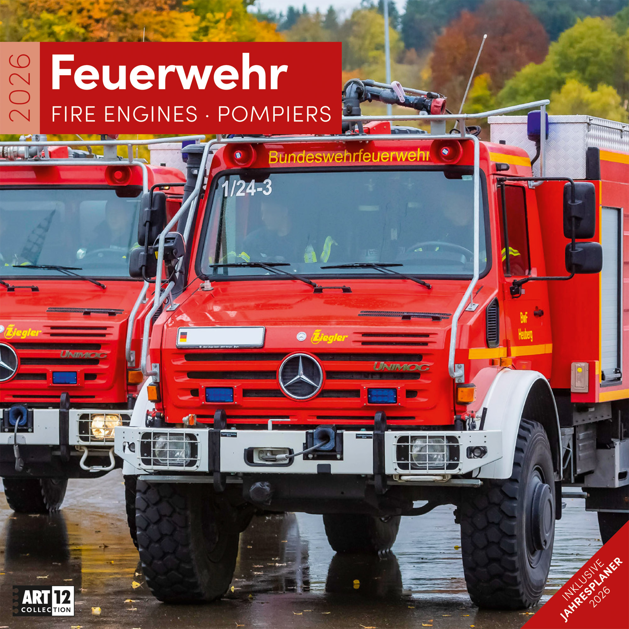 photo de l'article 440829