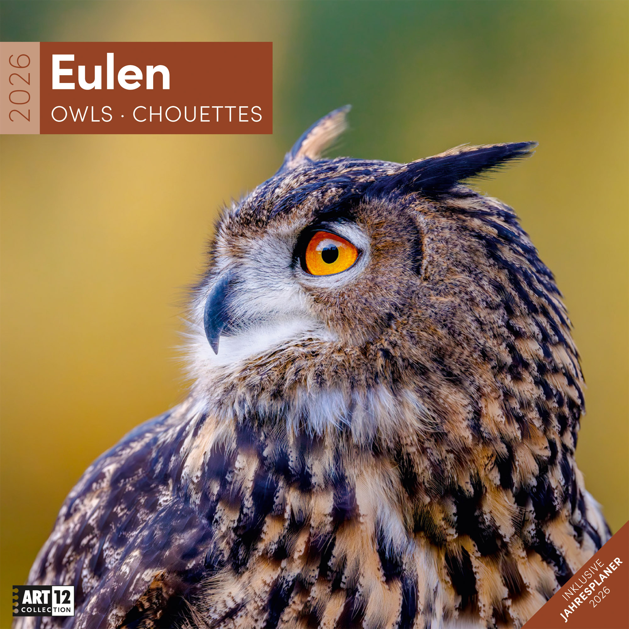 photo ACKERMANN Calendrier 2026 4624 Eulen ML 30x30cm