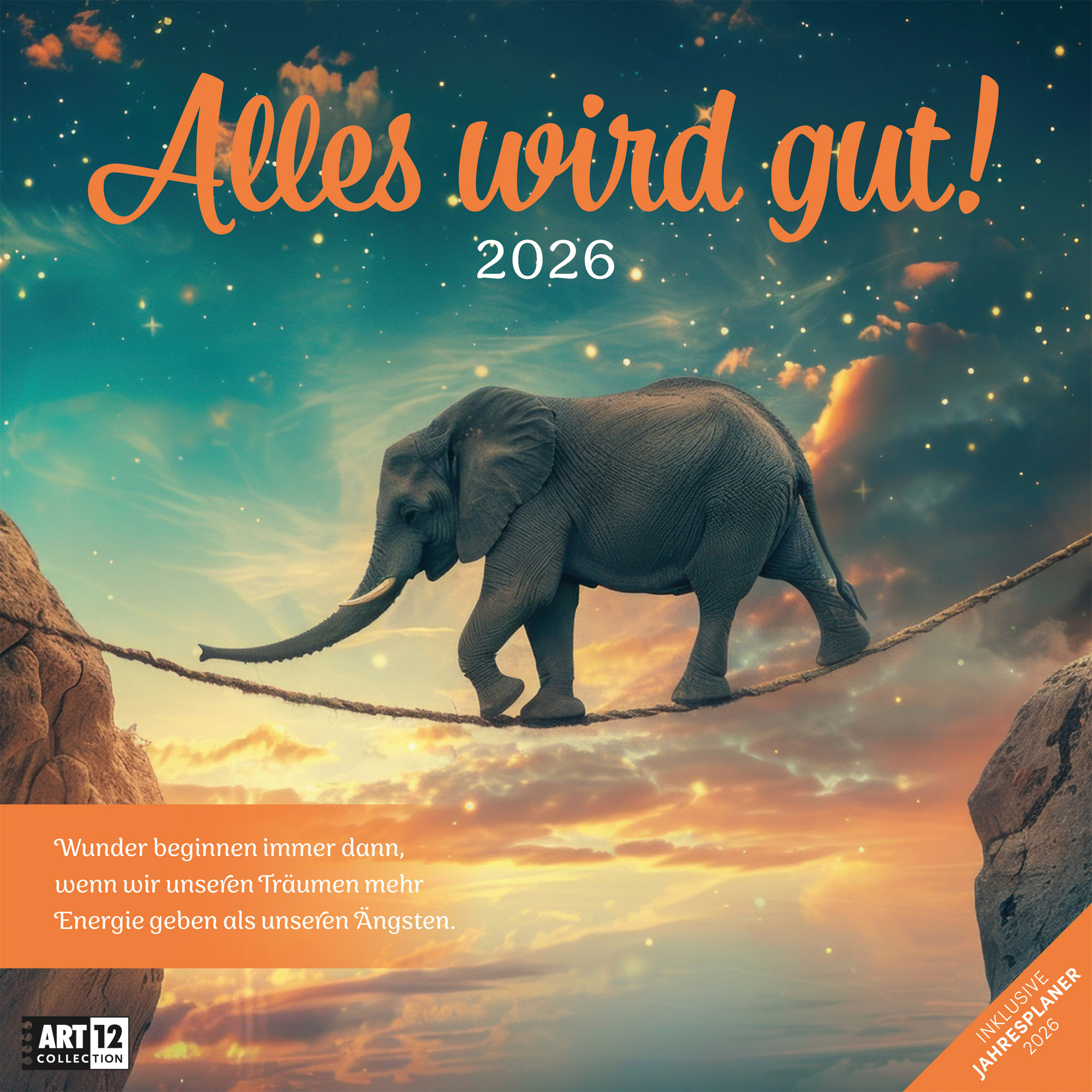 photo de l'article 440819