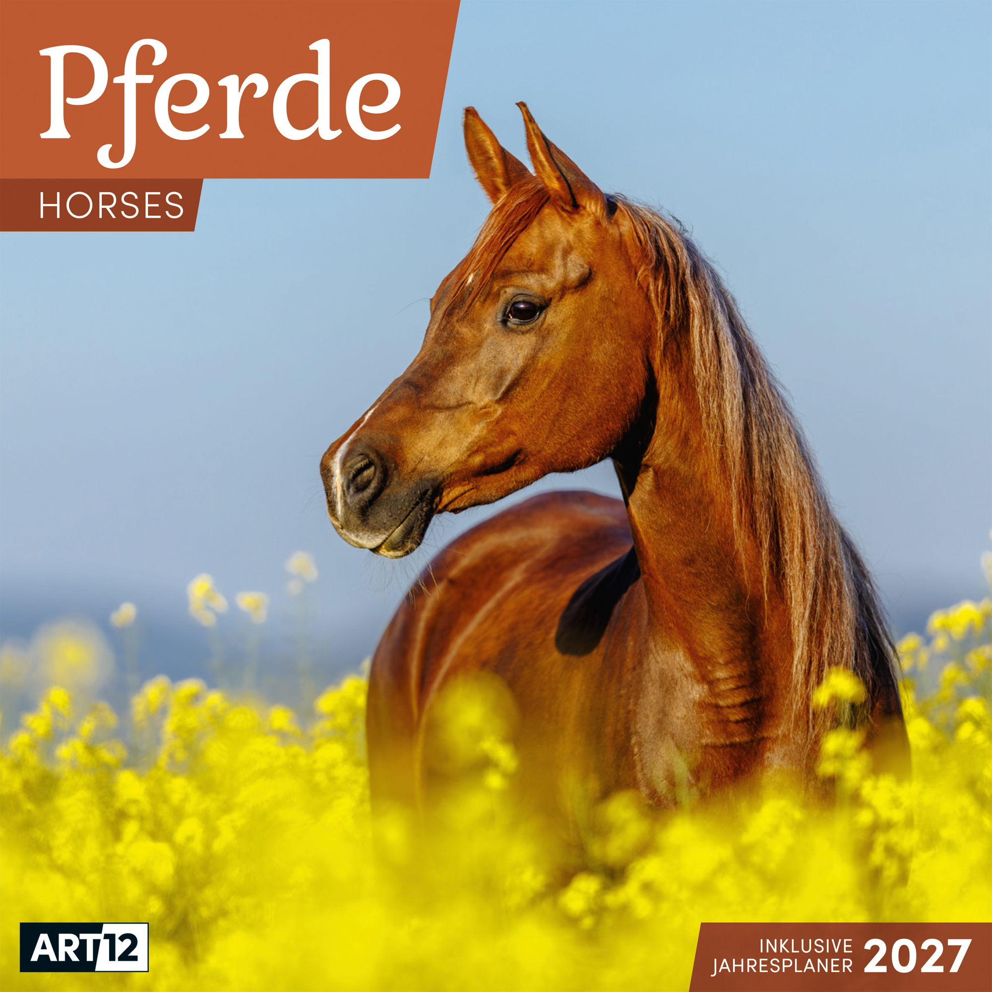 photo de l'article 440817