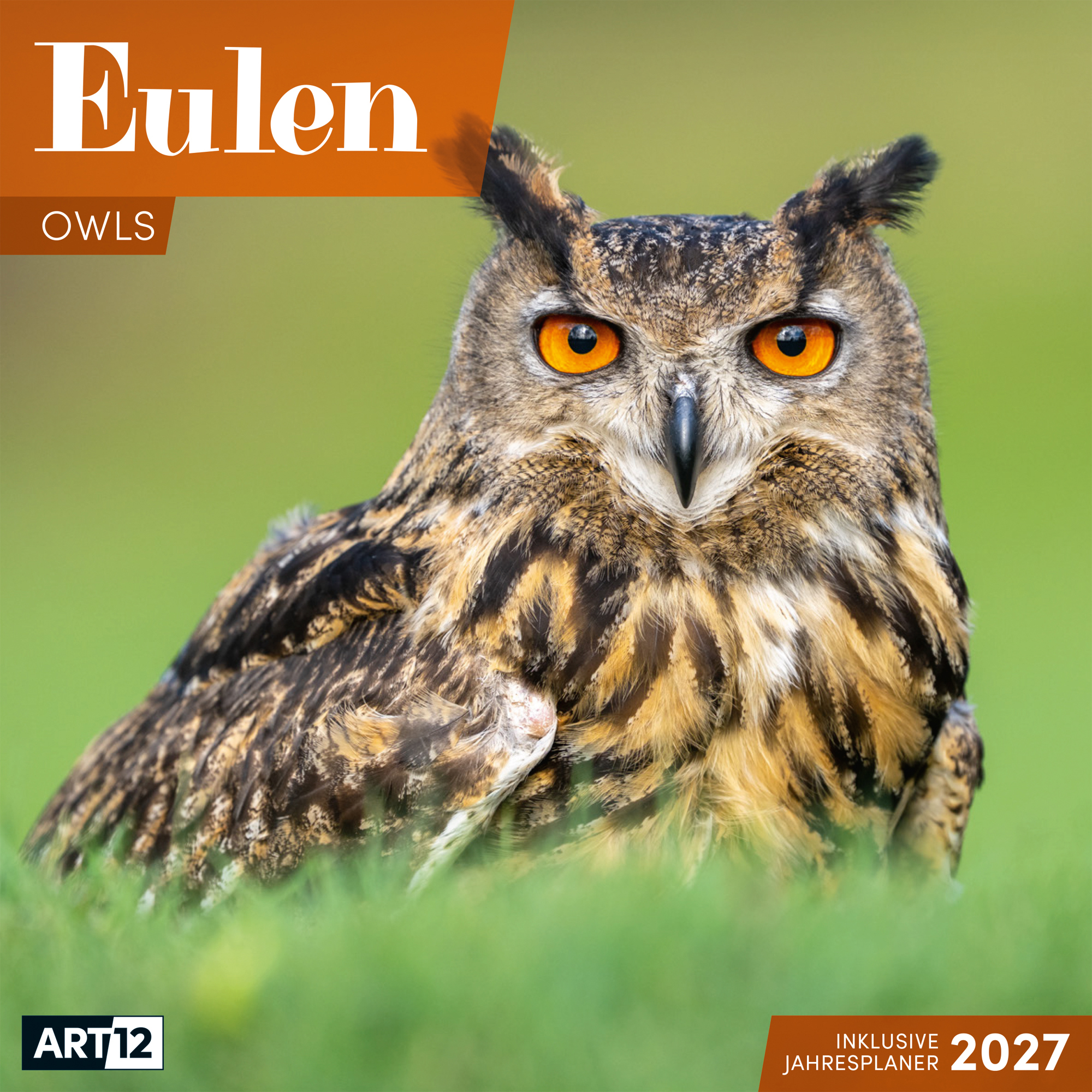 photo de l'article 440816