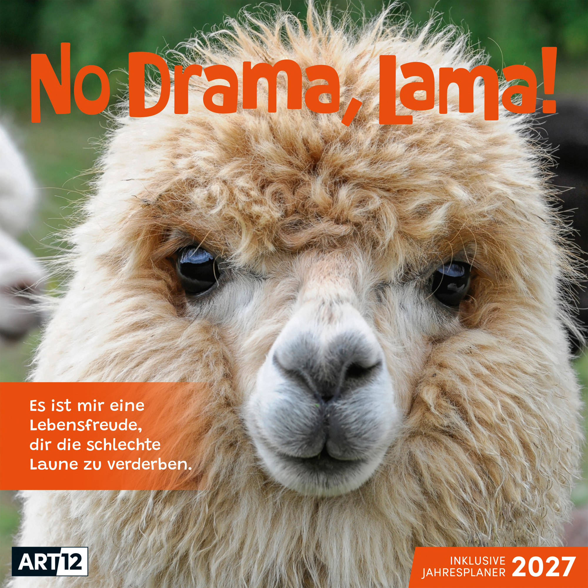 photo de l'article 444424