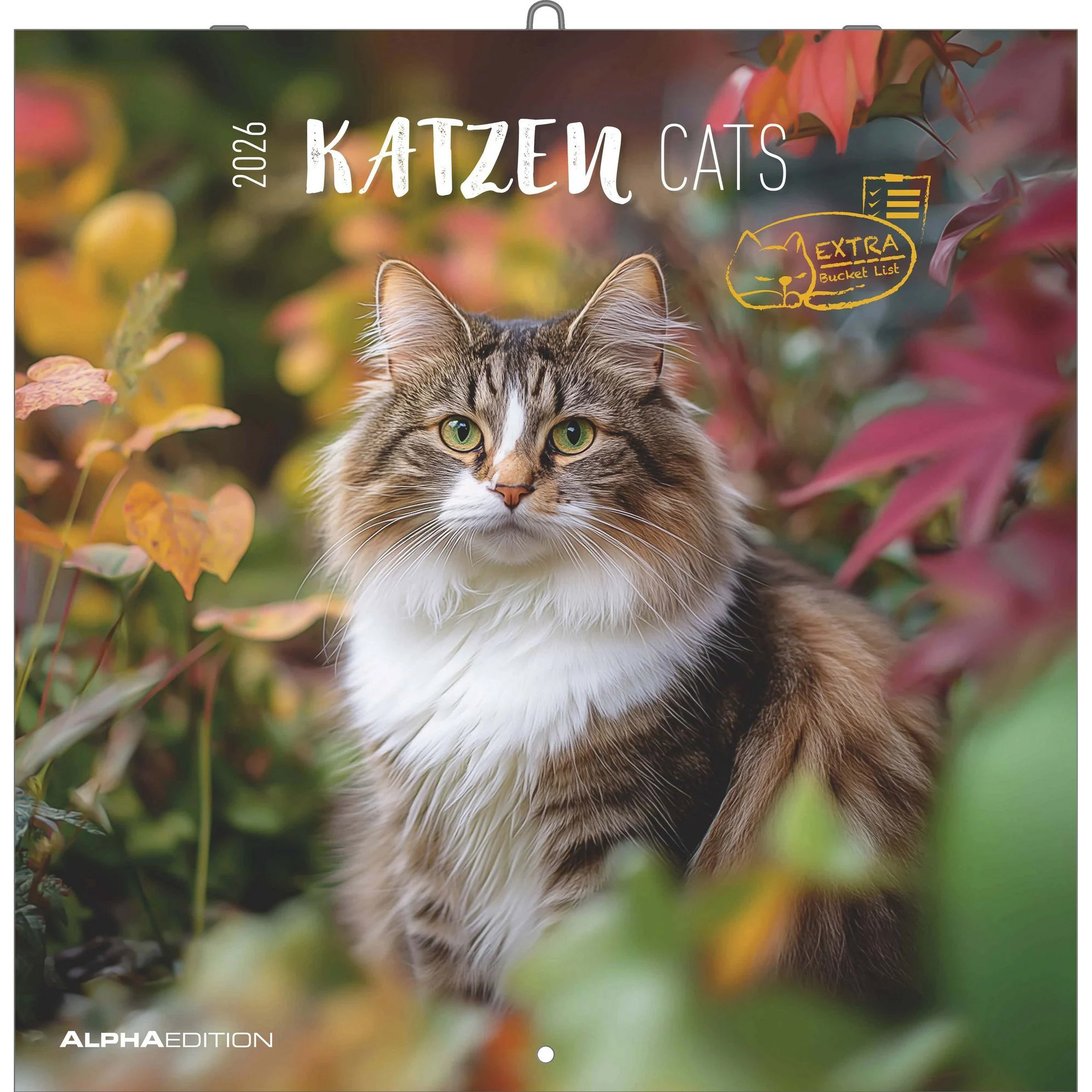 photo ALPHA EDITION Calendrier 2026 160298 Chats ML 30x30cm