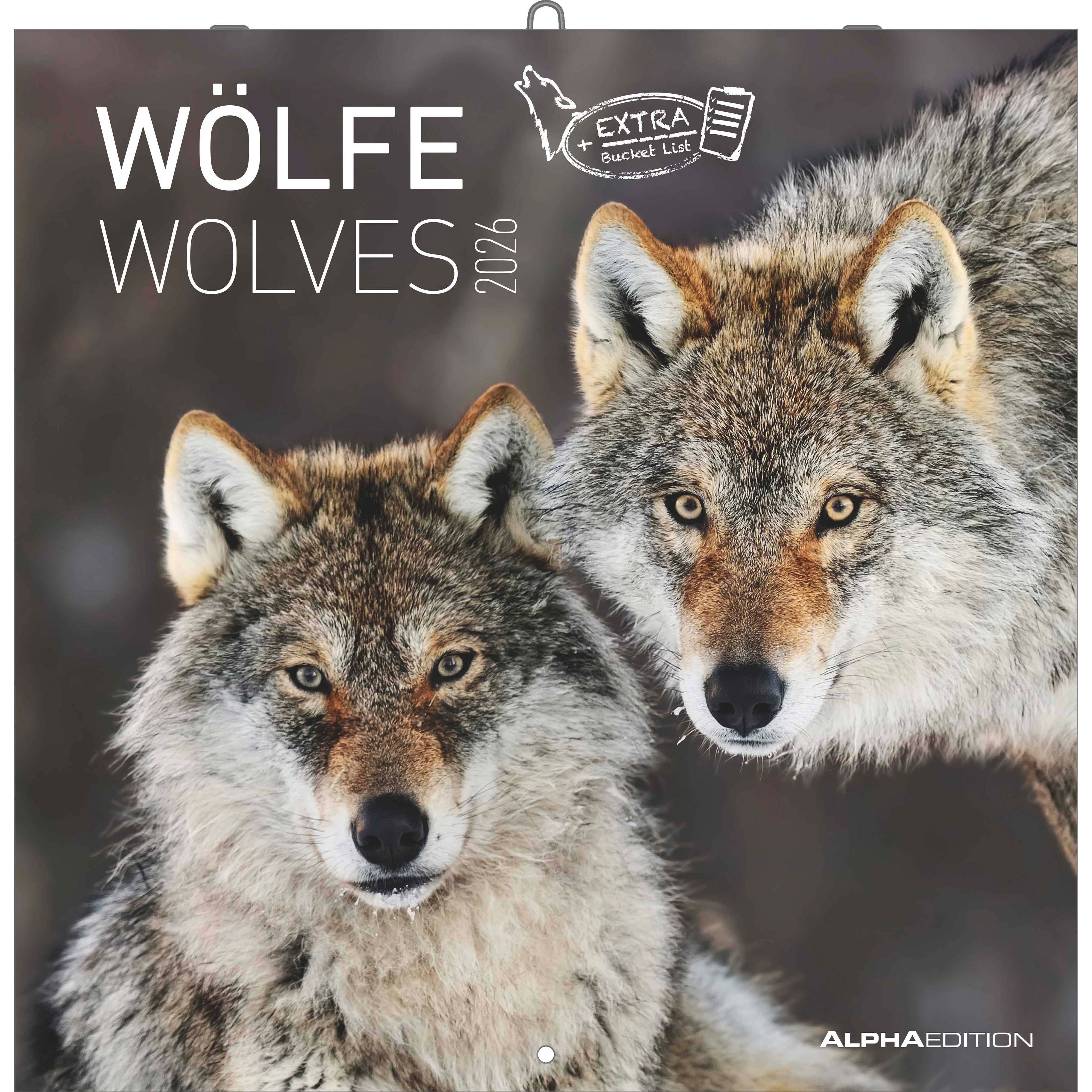 photo ALPHA EDITION Calendrier 2026 160301 Loups ML 30x30cm