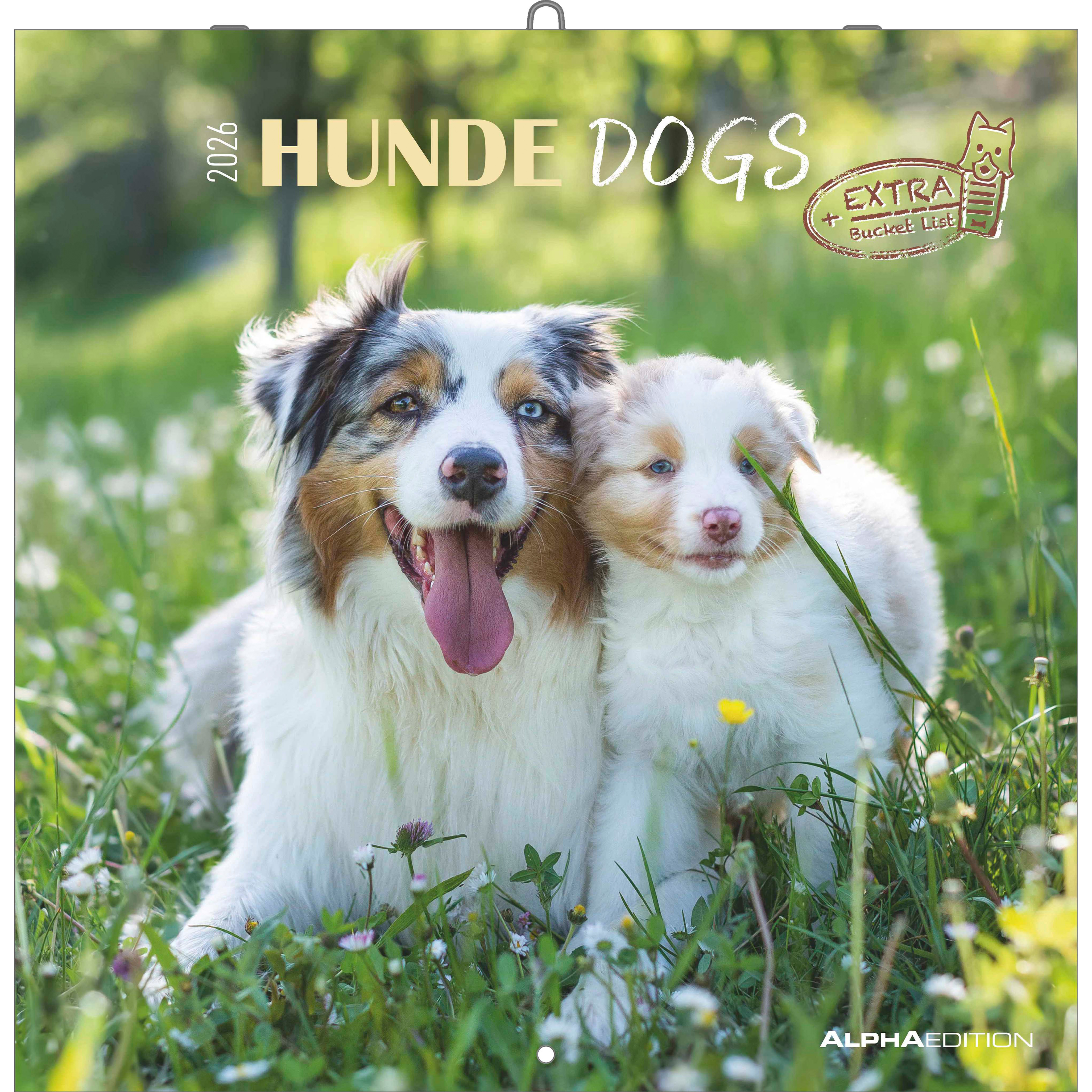 photo ALPHA EDITION Calendrier 2026 160302 Chiens ML 30x30cm