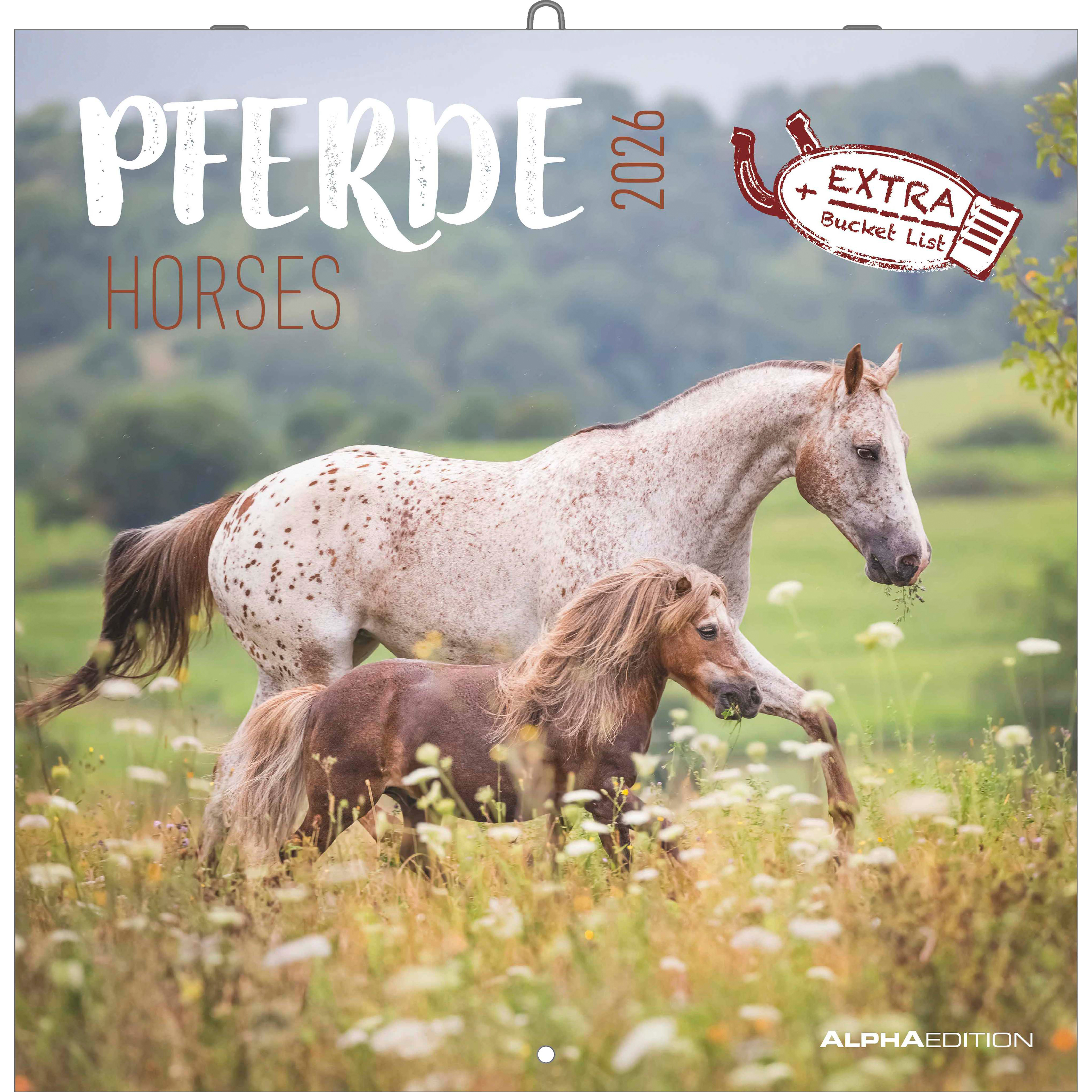 photo de l'article 444354