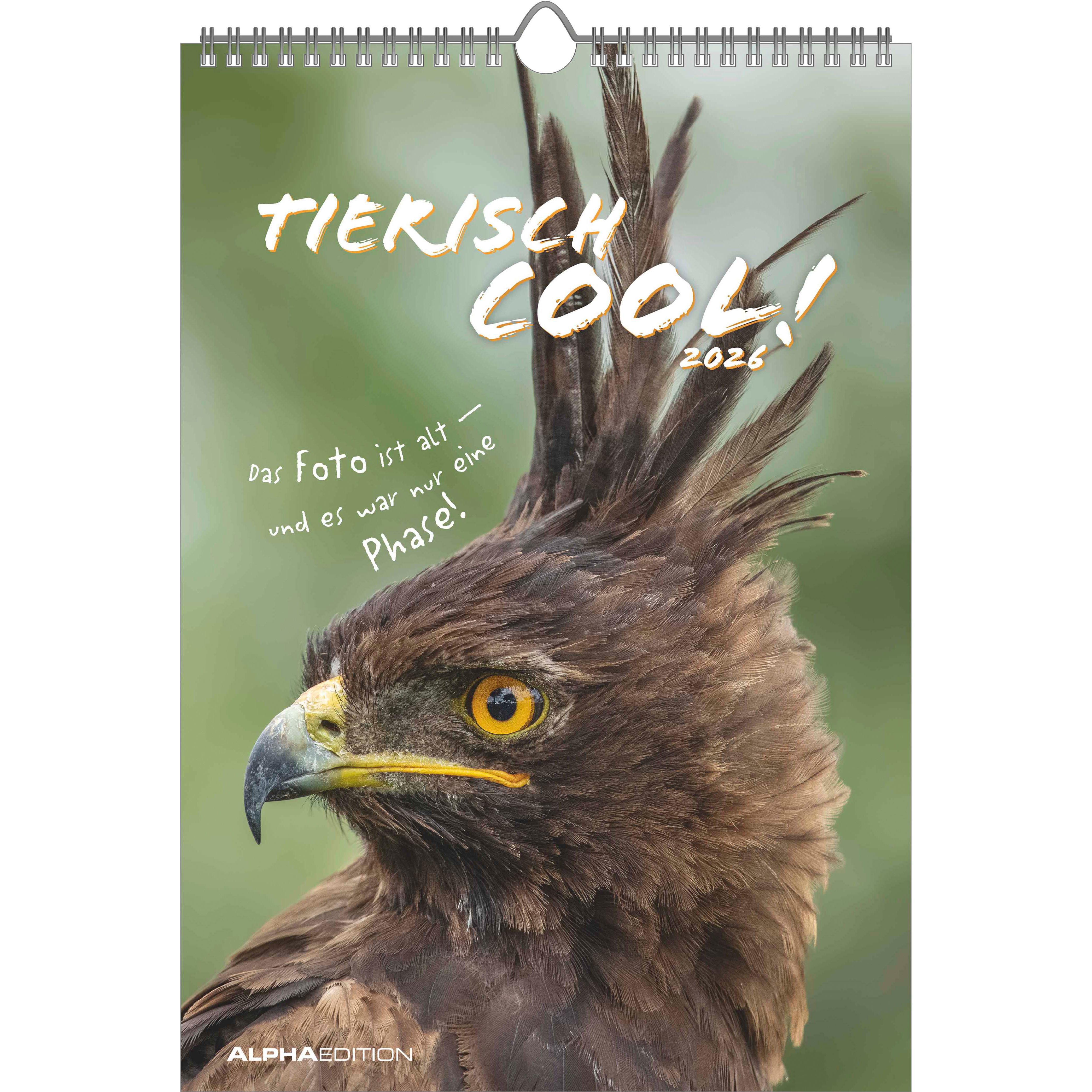 photo ALPHA EDITION Calendrier 2026 160492 Tierisch cool! DE 23.7x34cm