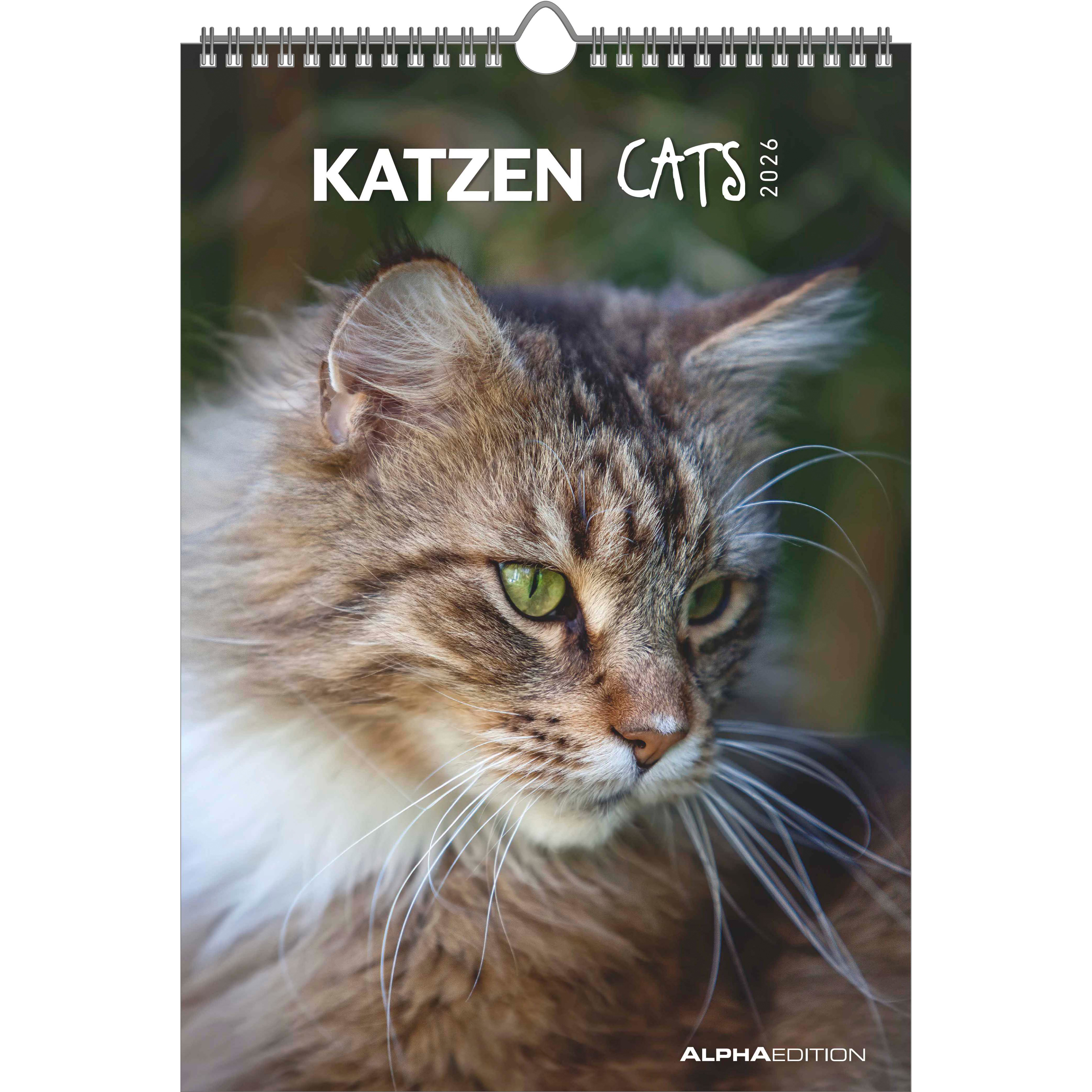 photo ALPHA EDITION Calendrier 2026 160493 Chats ML 23.7x34cm