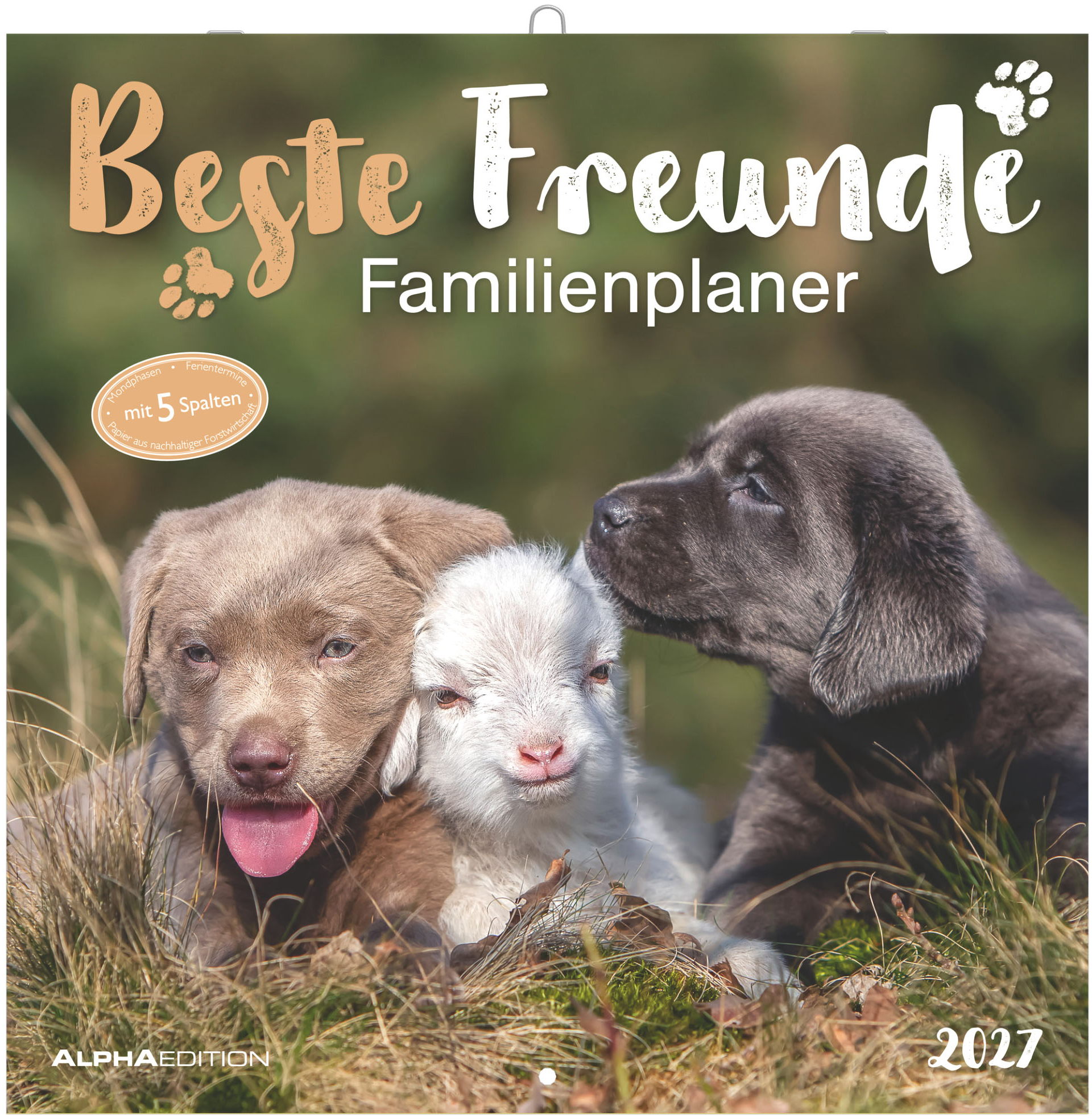 photo ALPHA EDITION Calendrier familial 2027 161702 Meilleurs amis ML 30x30cm