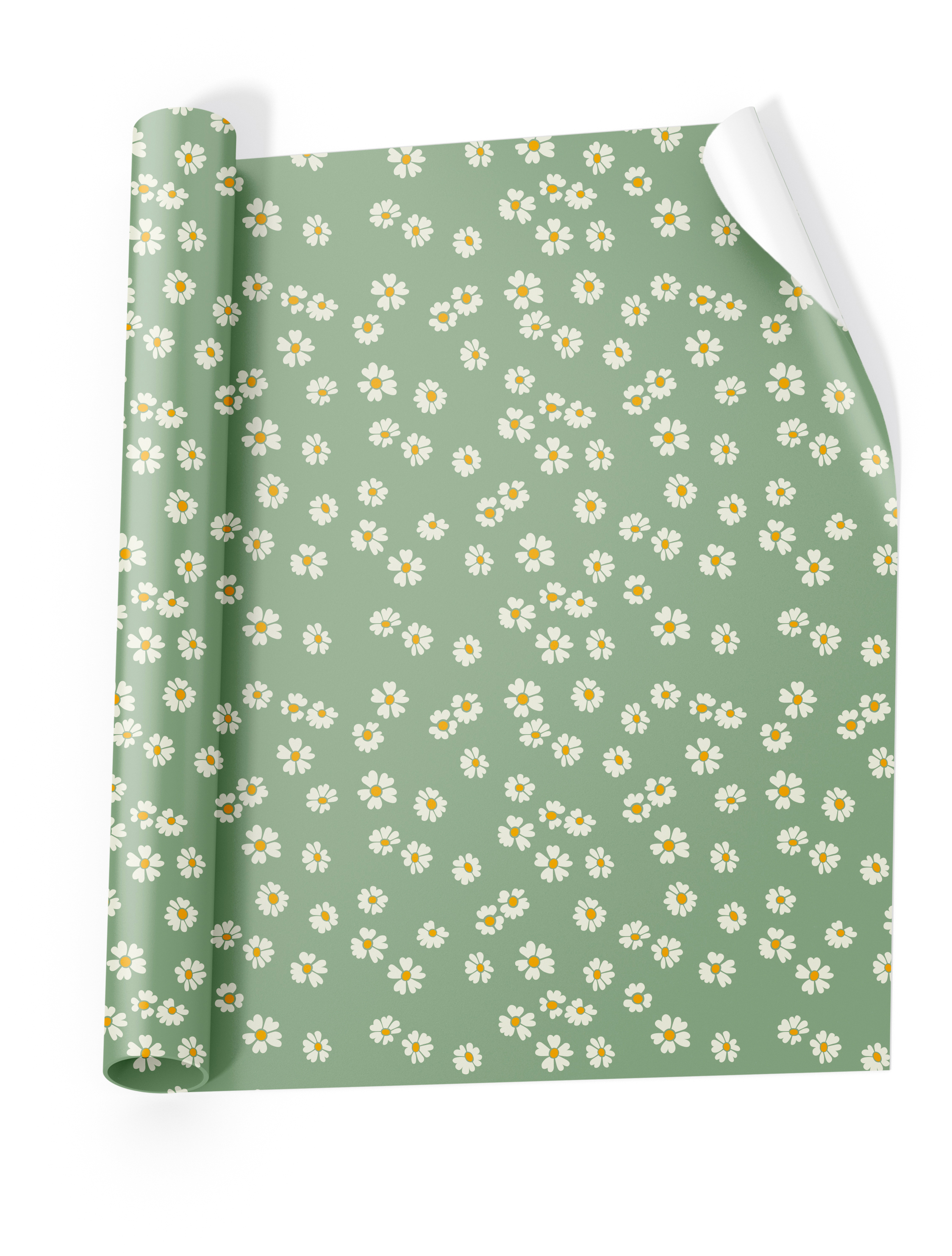 photo de l'article 408533