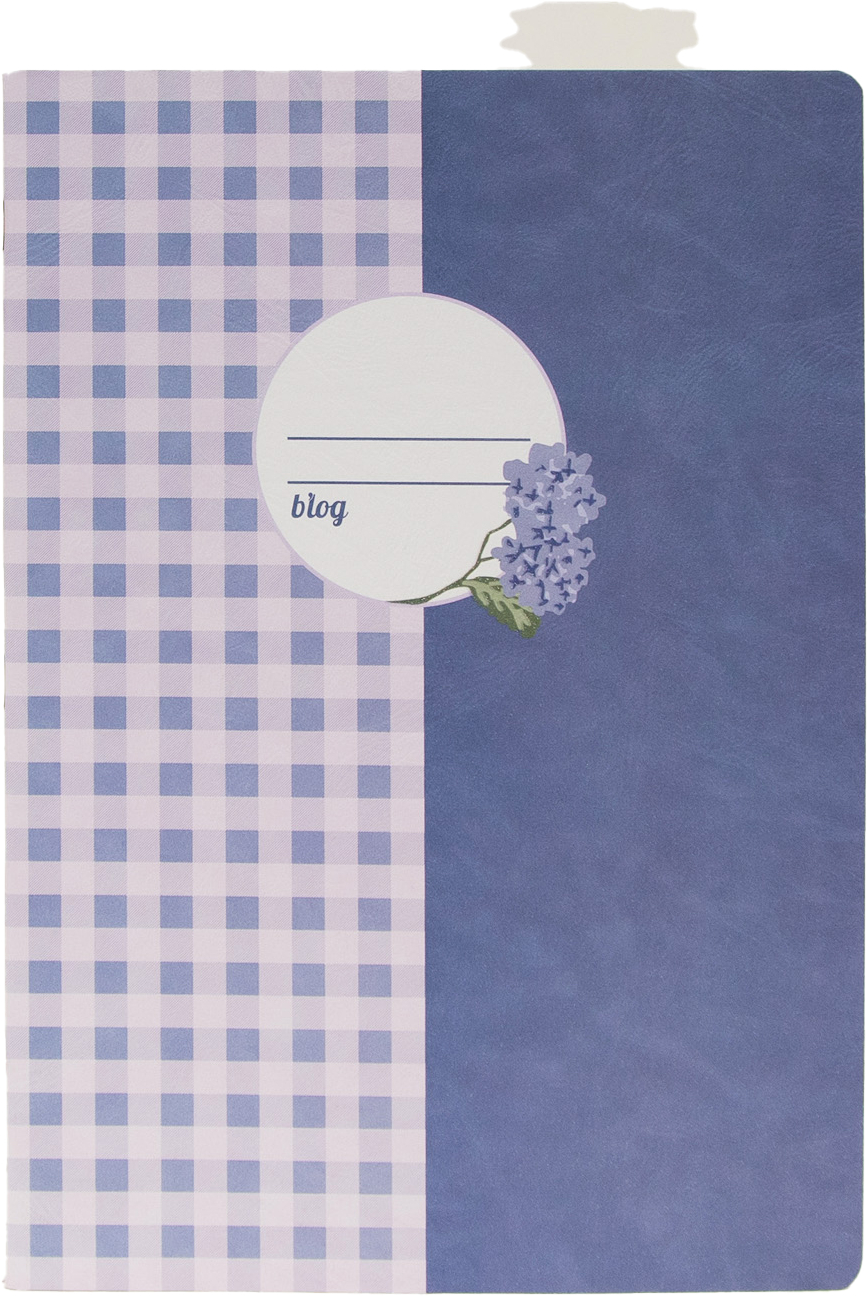 photo ANCOR Cahier A4 130287 Provence Vichy, ligné 48 flls