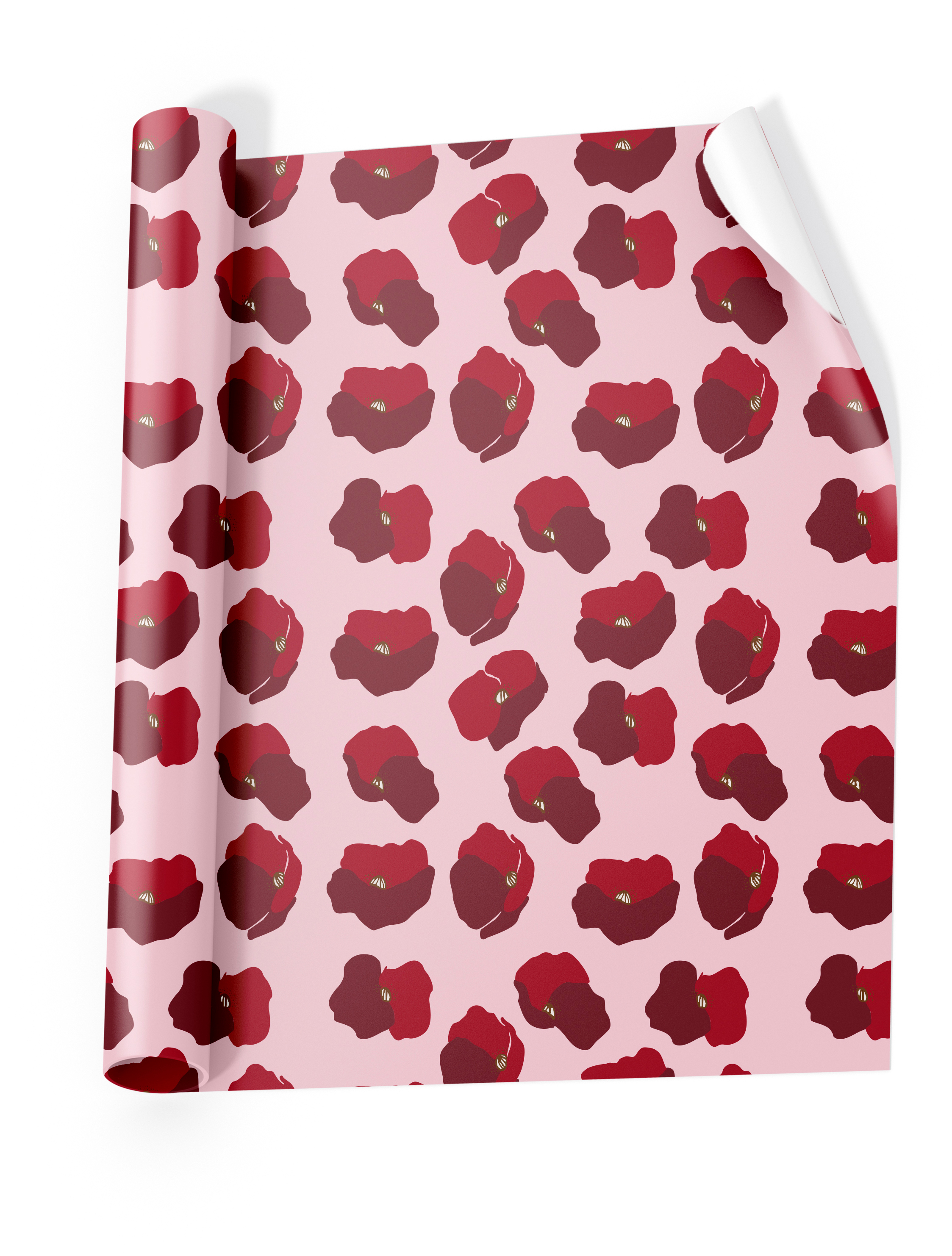 photo de l'article 408534