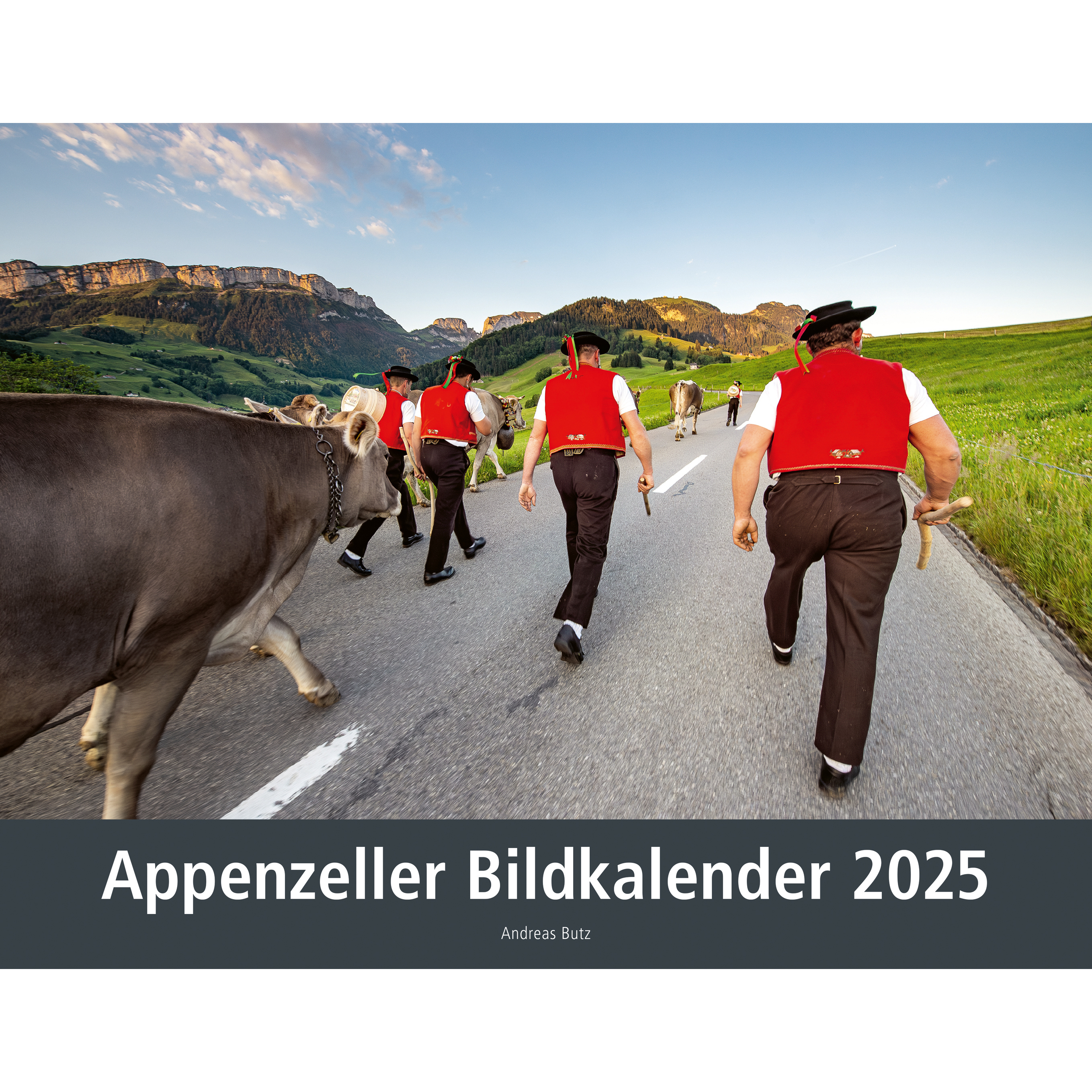 APPENZELLER Calendrier 2025 783858828965 Appenzeller DE 40x31cm