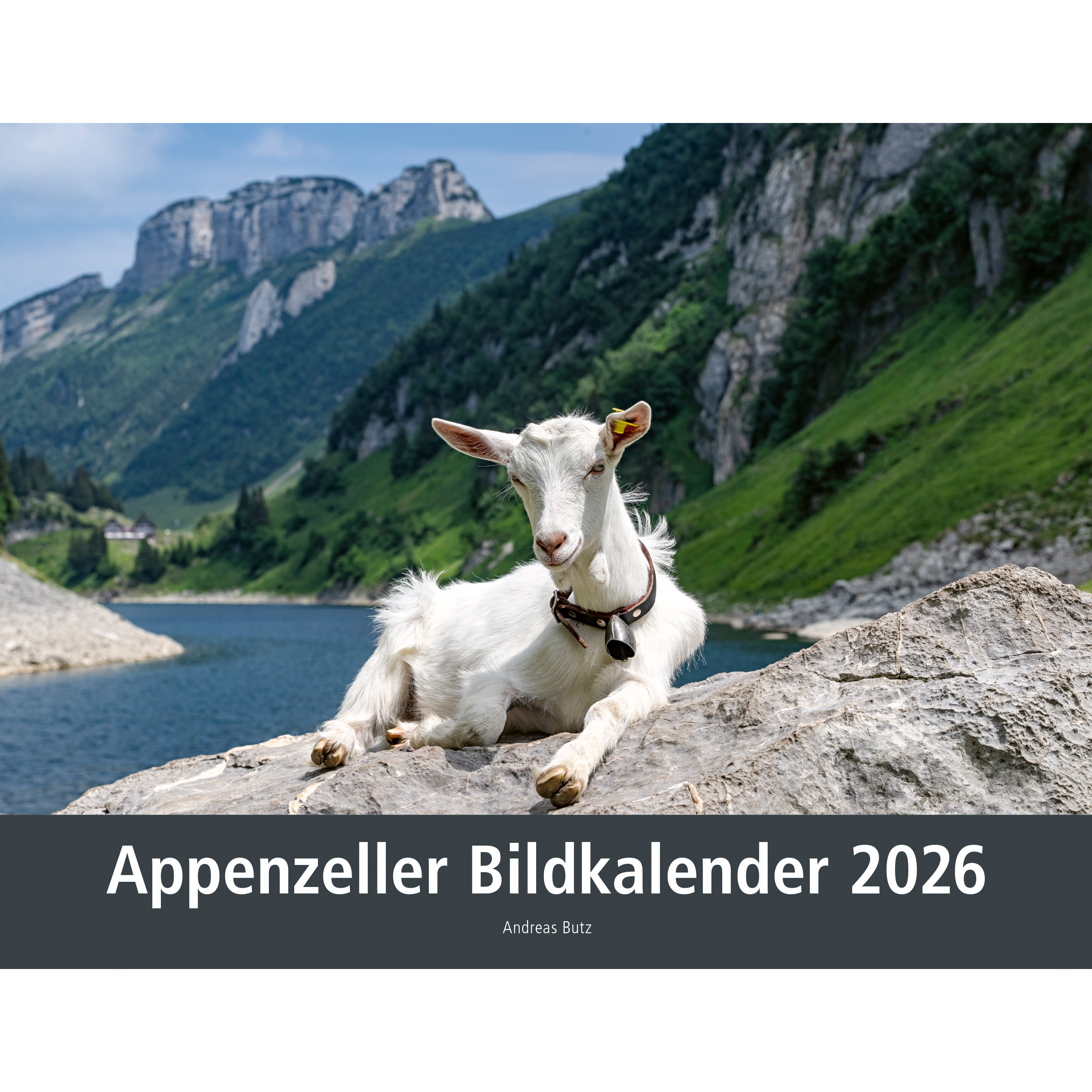 photo APPENZELLER Calendrier 2026 9783858829047 Appenzeller AL 40x31cm