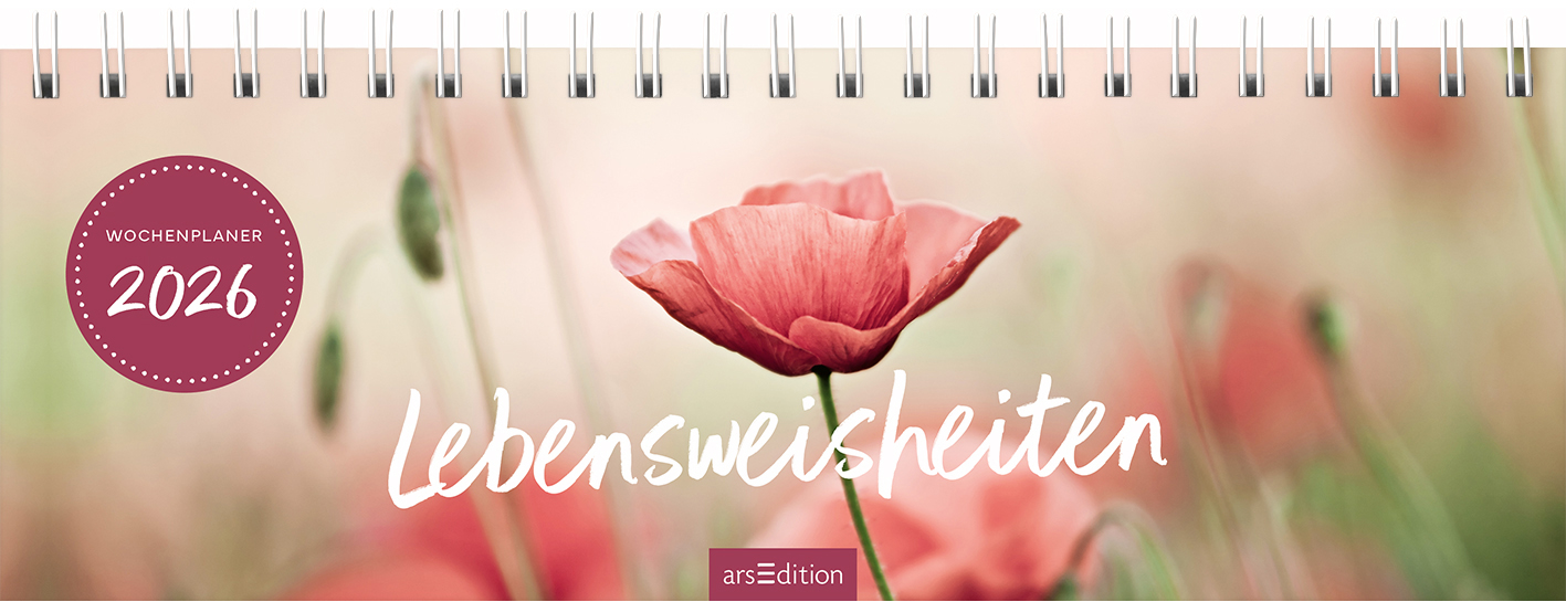 photo de l'article 708381