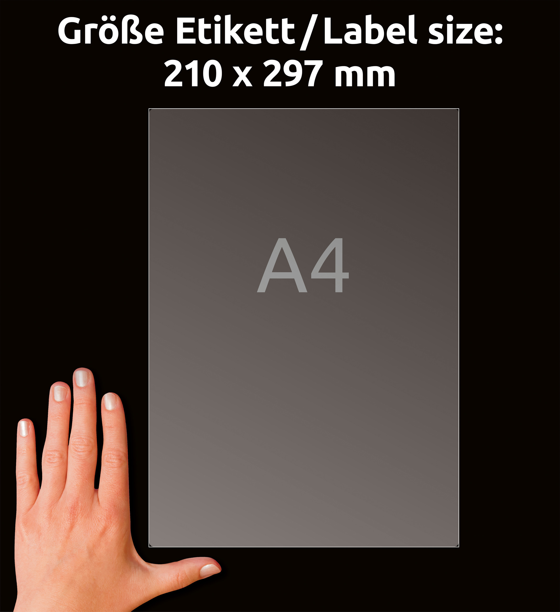 AVERY ZWECKFORM Etiquettes 210x297mm J8567-25 transparent 25 pcs.