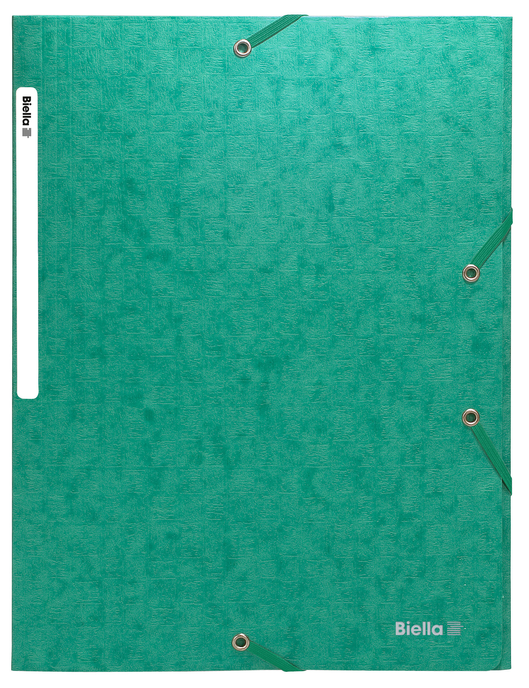 BIELLA Dossier ferm. Élastique A4 17840030U vert, 590gm2 220 flls.
