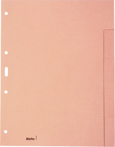 BIELLA Répert. carton brun claire A4 19640500U 5 pcs., en blanc, 4 trous