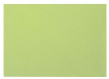 BIELLA Cartes-fiches blanco A6 23560030U vert 100 pcs.