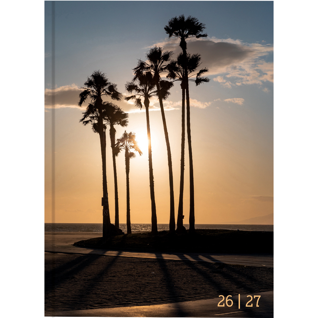 photo de l'article 491455