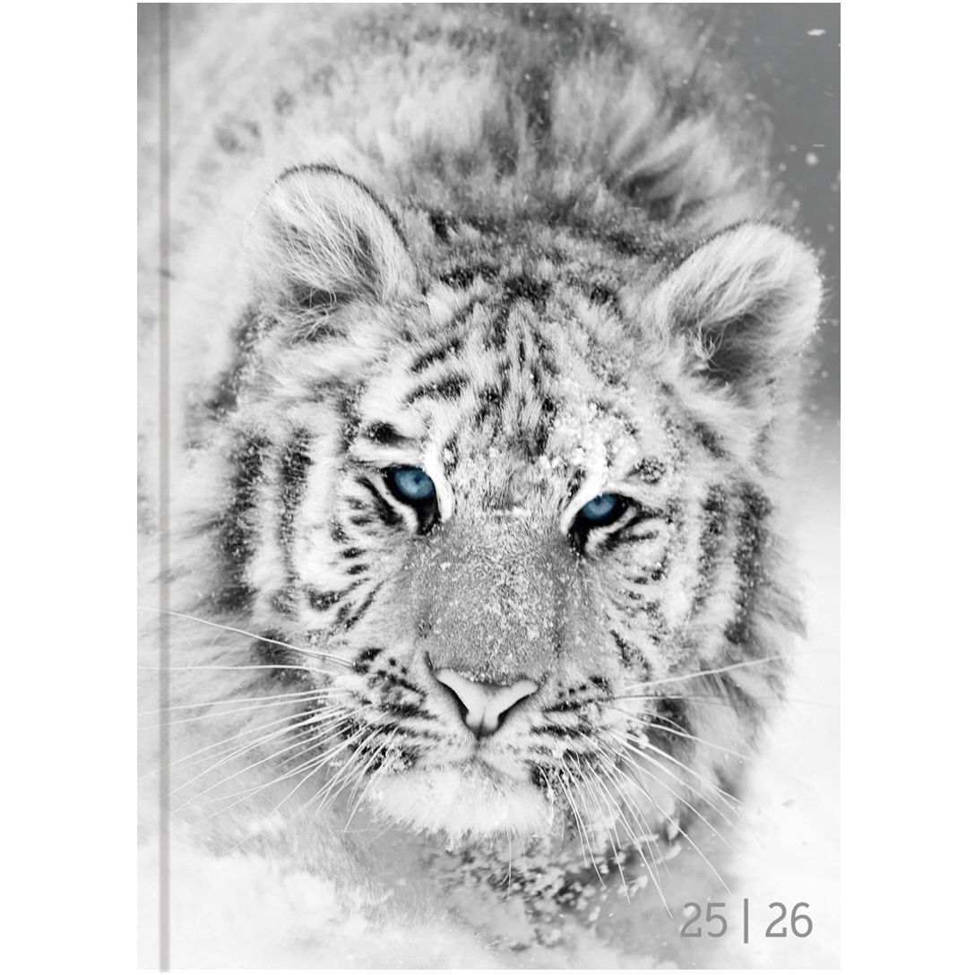photo BIELLA Agenda scol. Black&White 25/26 806544860026U 1J/1P 12x16.5cm