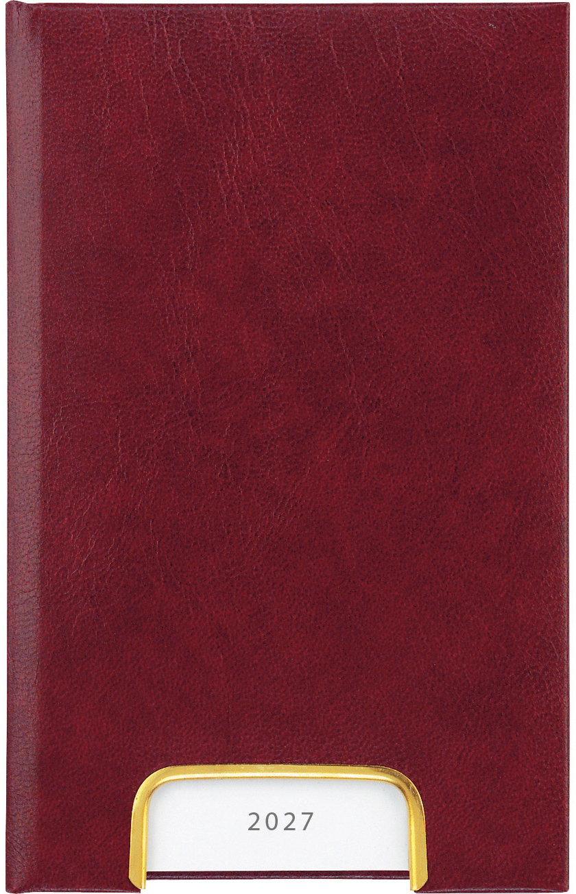 photo de l'article 479976