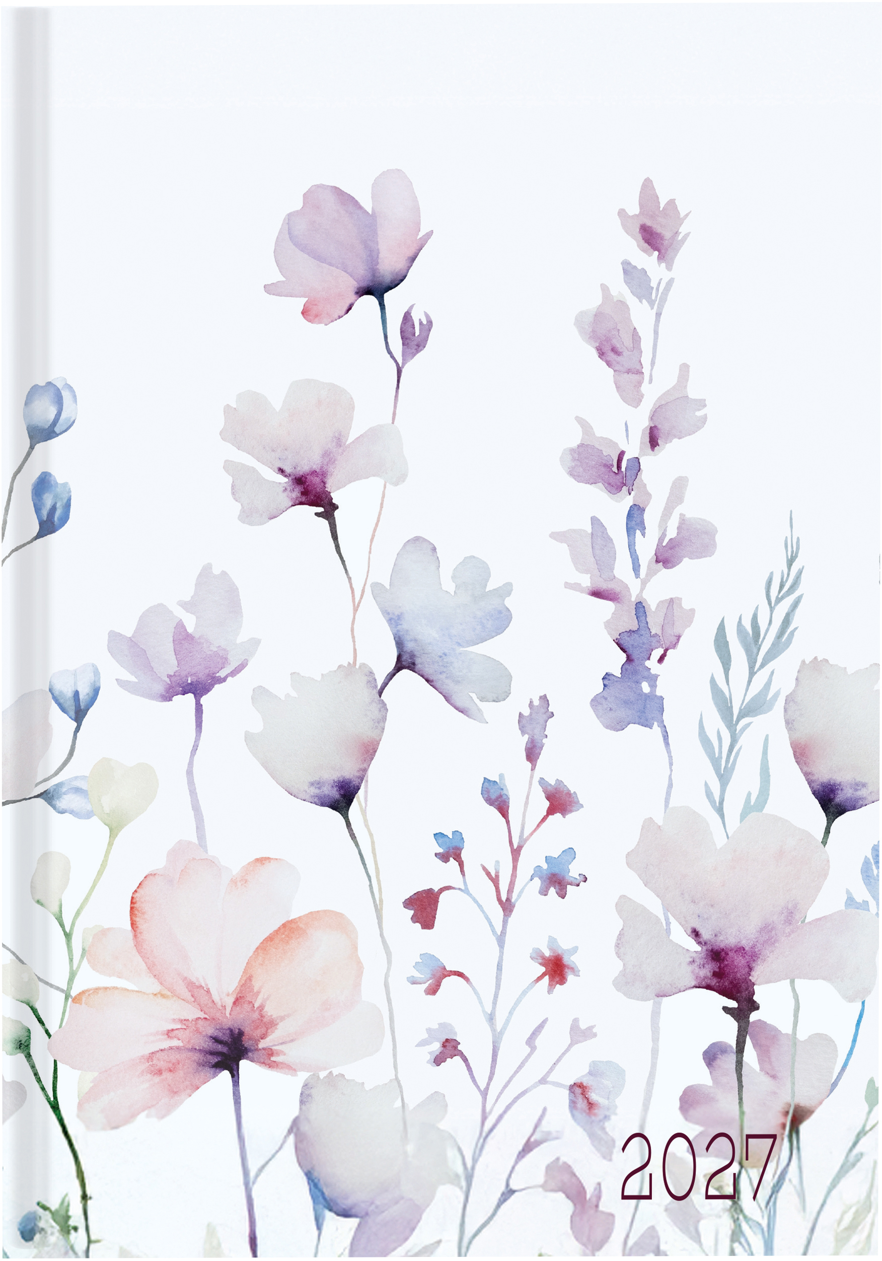 photo de l'article 492917