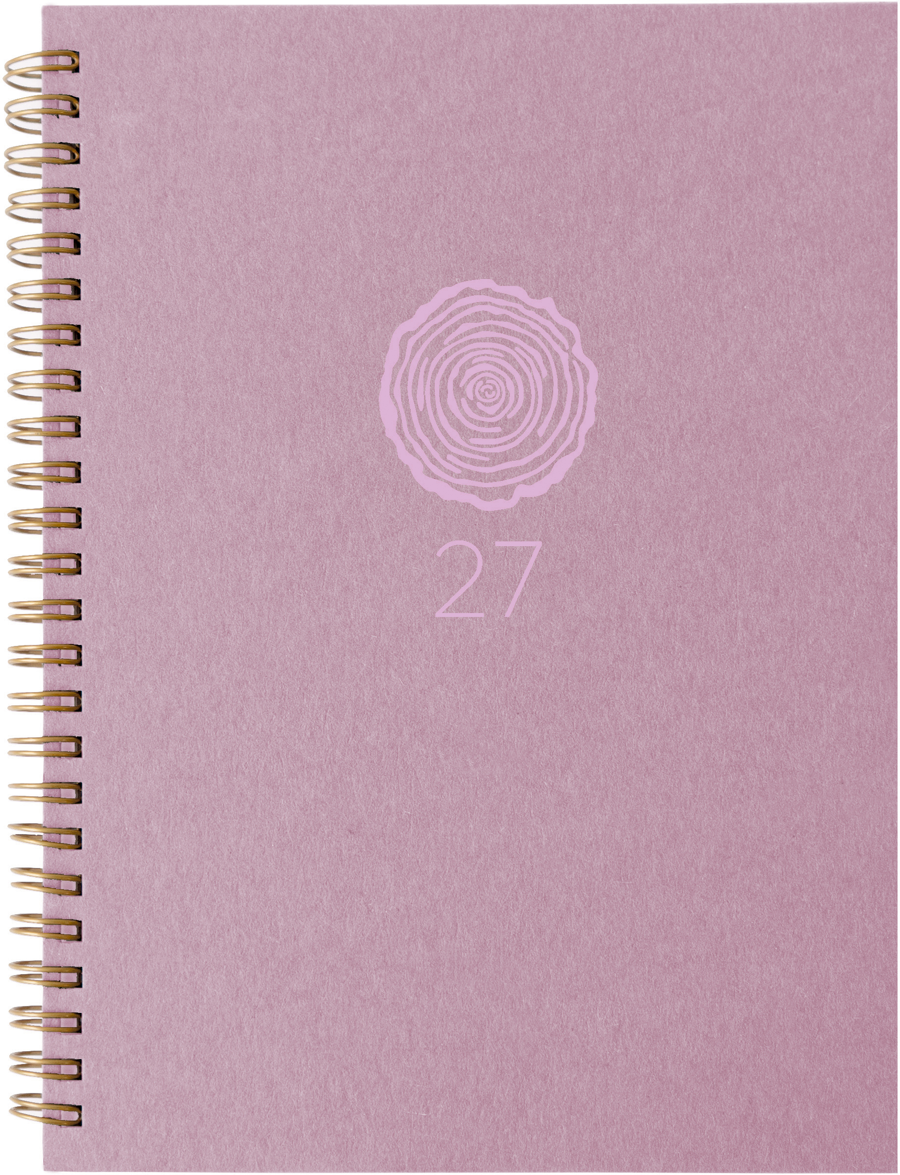 photo de l'article 734419