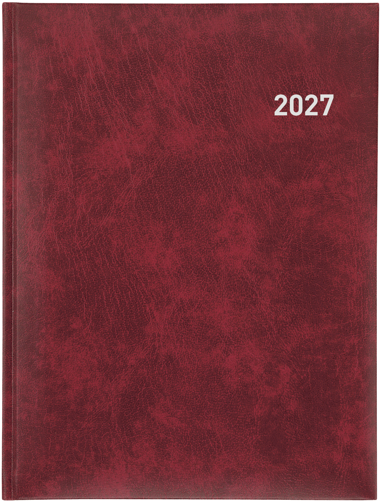 photo de l'article 479988