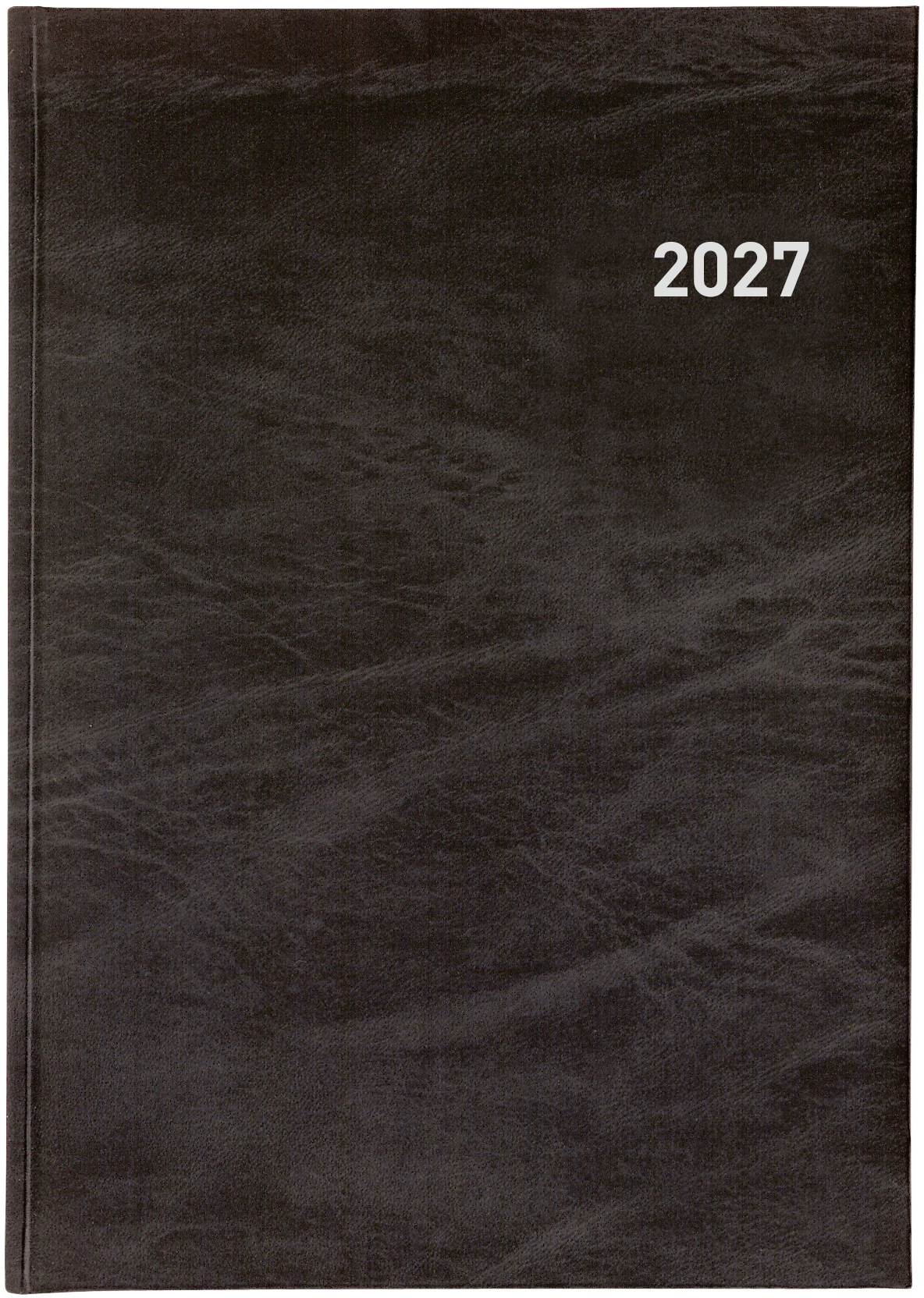 photo de l'article 479991