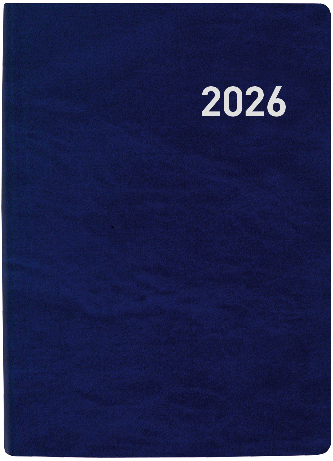 photo de l'article 480017