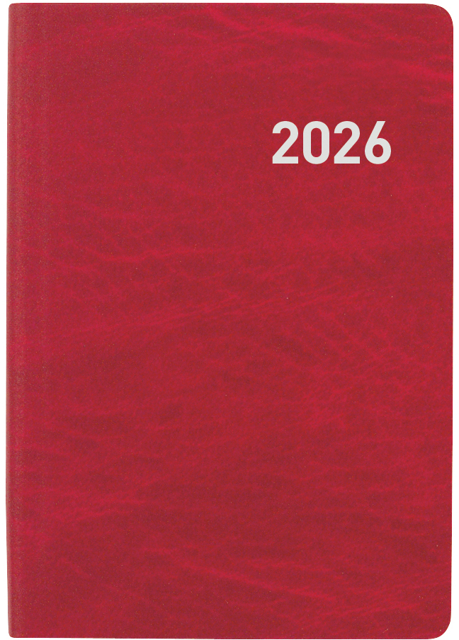 photo de l'article 480020