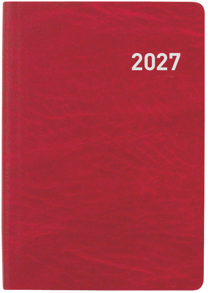 photo de l'article 480020