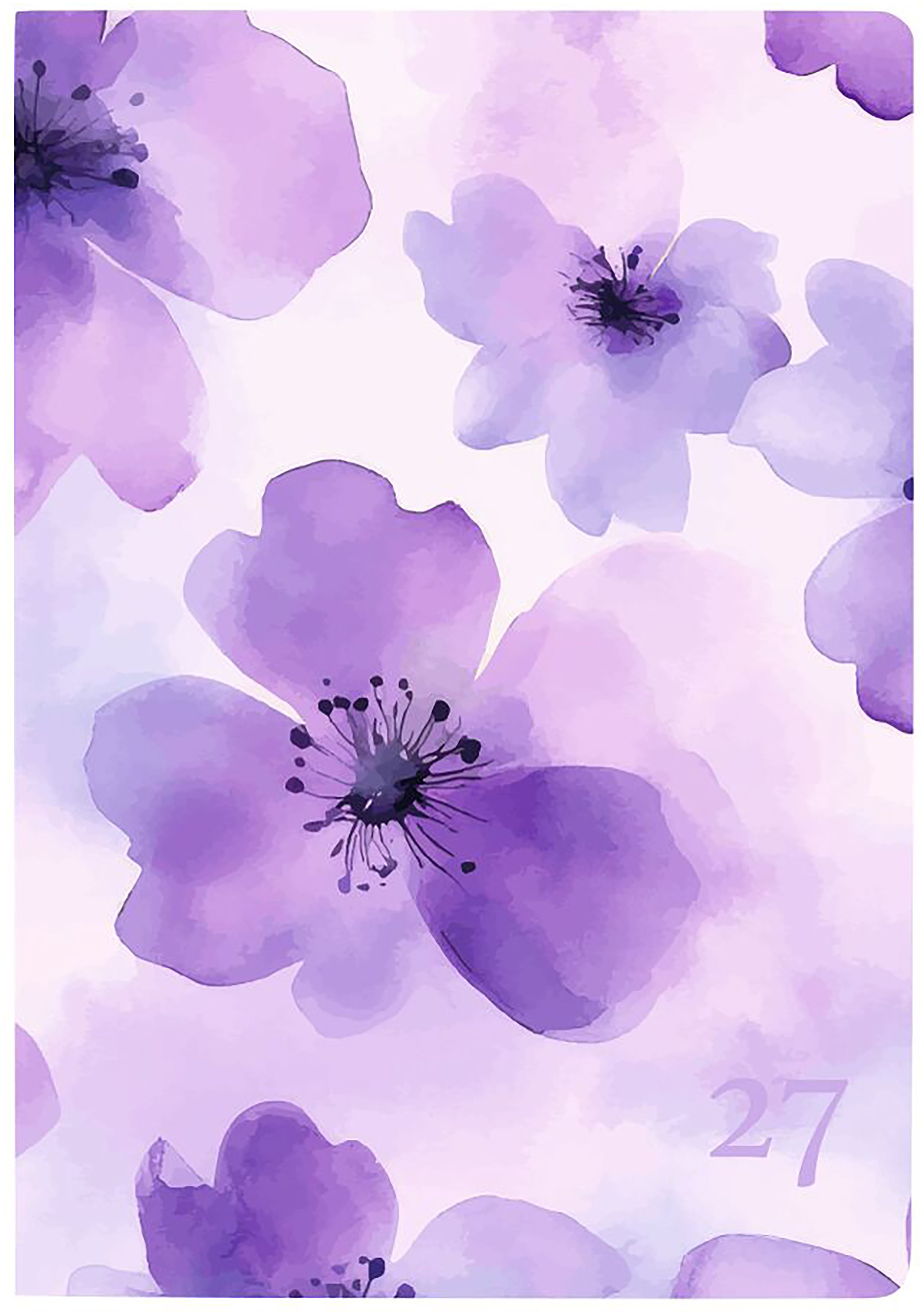 photo de l'article 443943