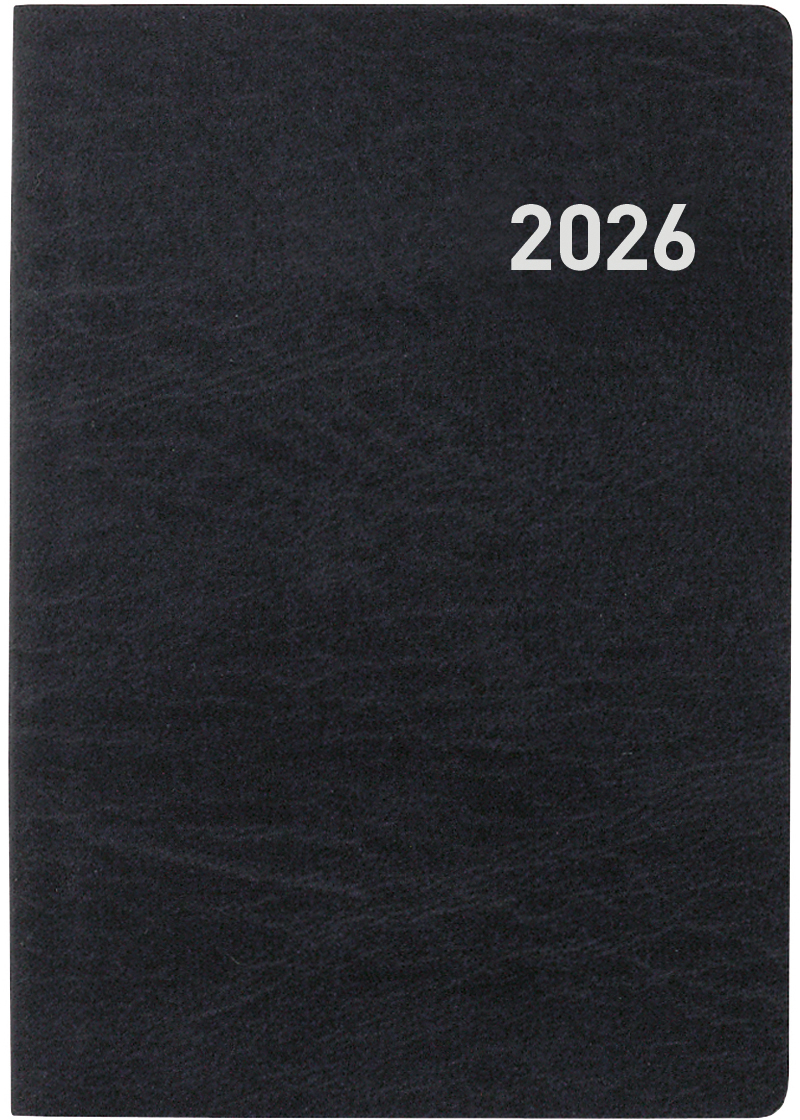 photo de l'article 480021