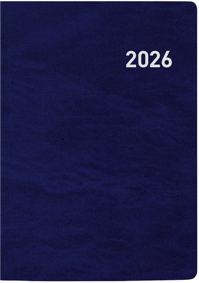 photo de l'article 480022