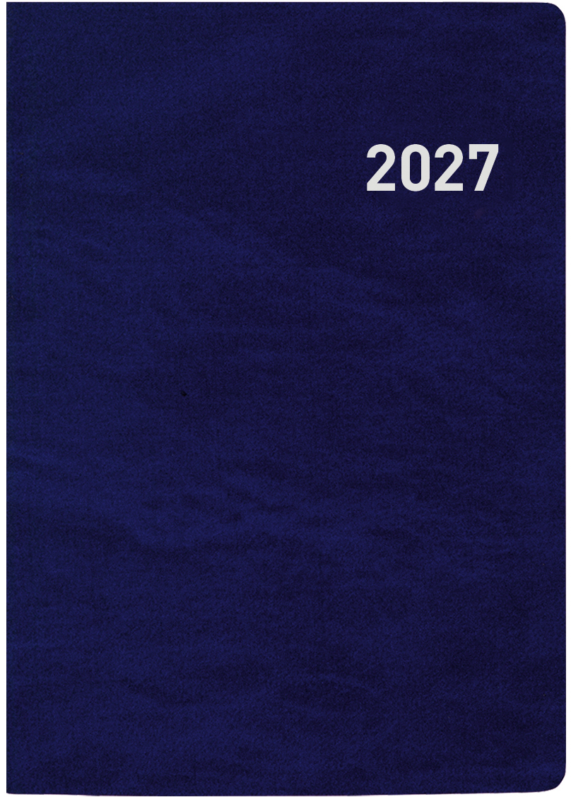 photo de l'article 480022