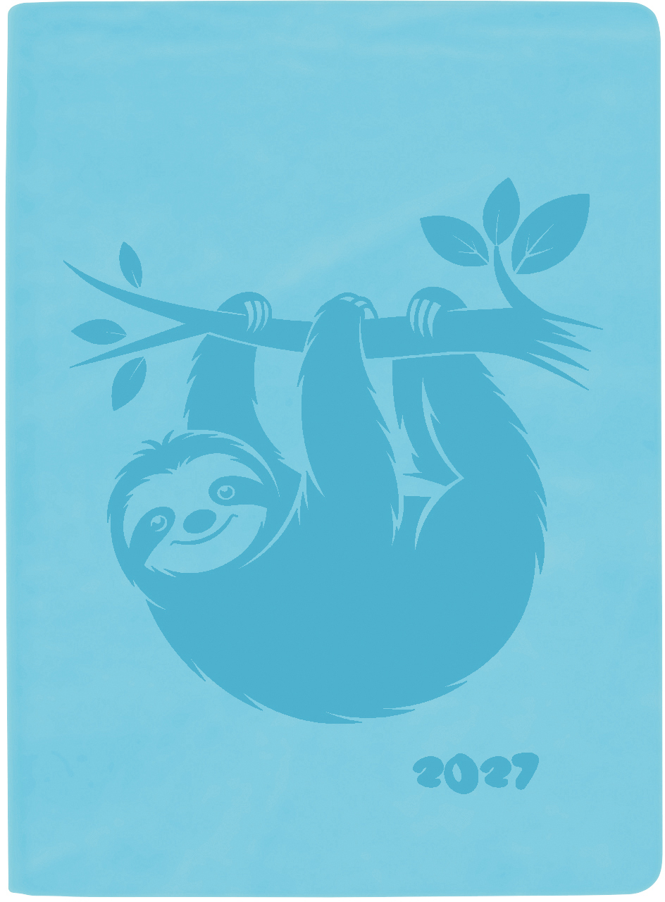 photo de l'article 492927