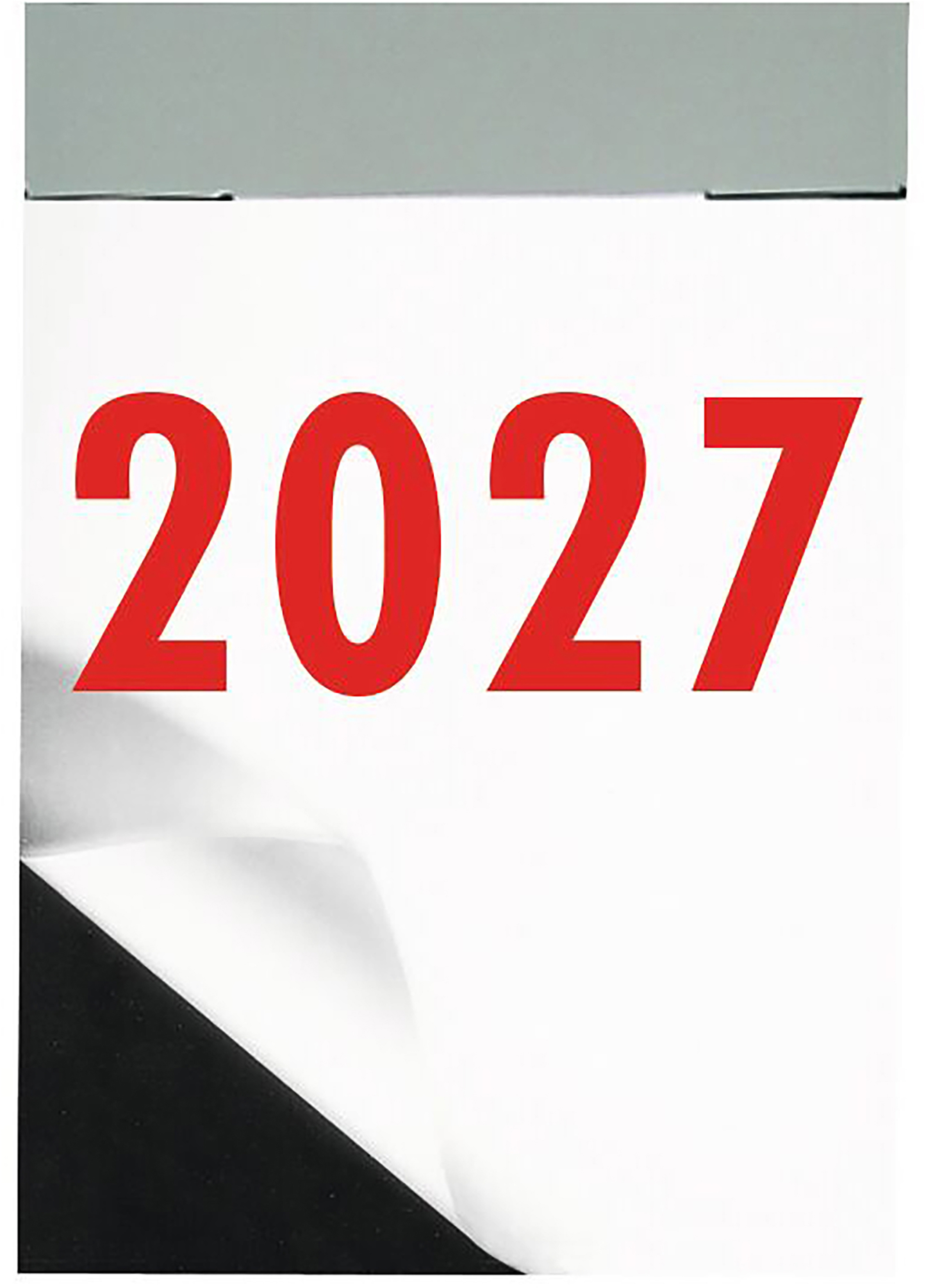 photo de l'article 480127