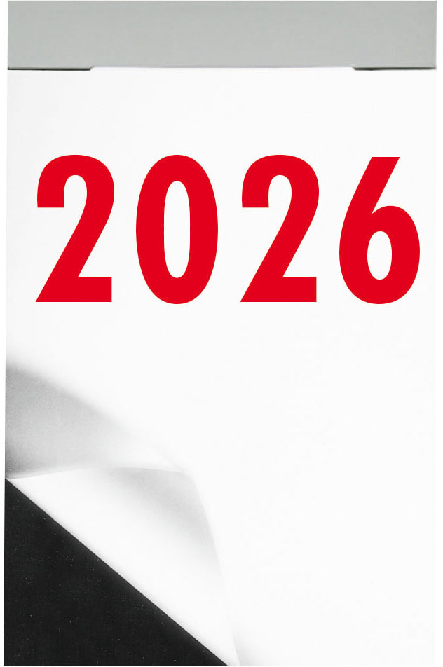 photo de l'article 480128